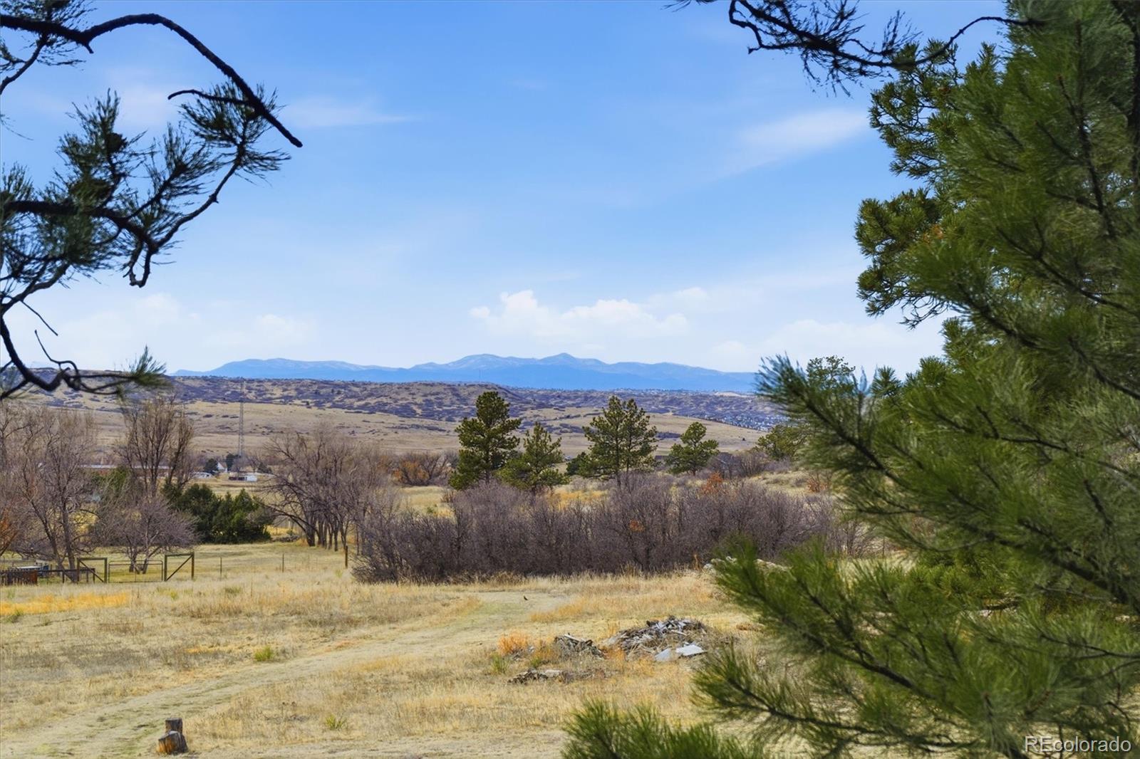 MLS Image #5 for 7755 e park drive,franktown, Colorado