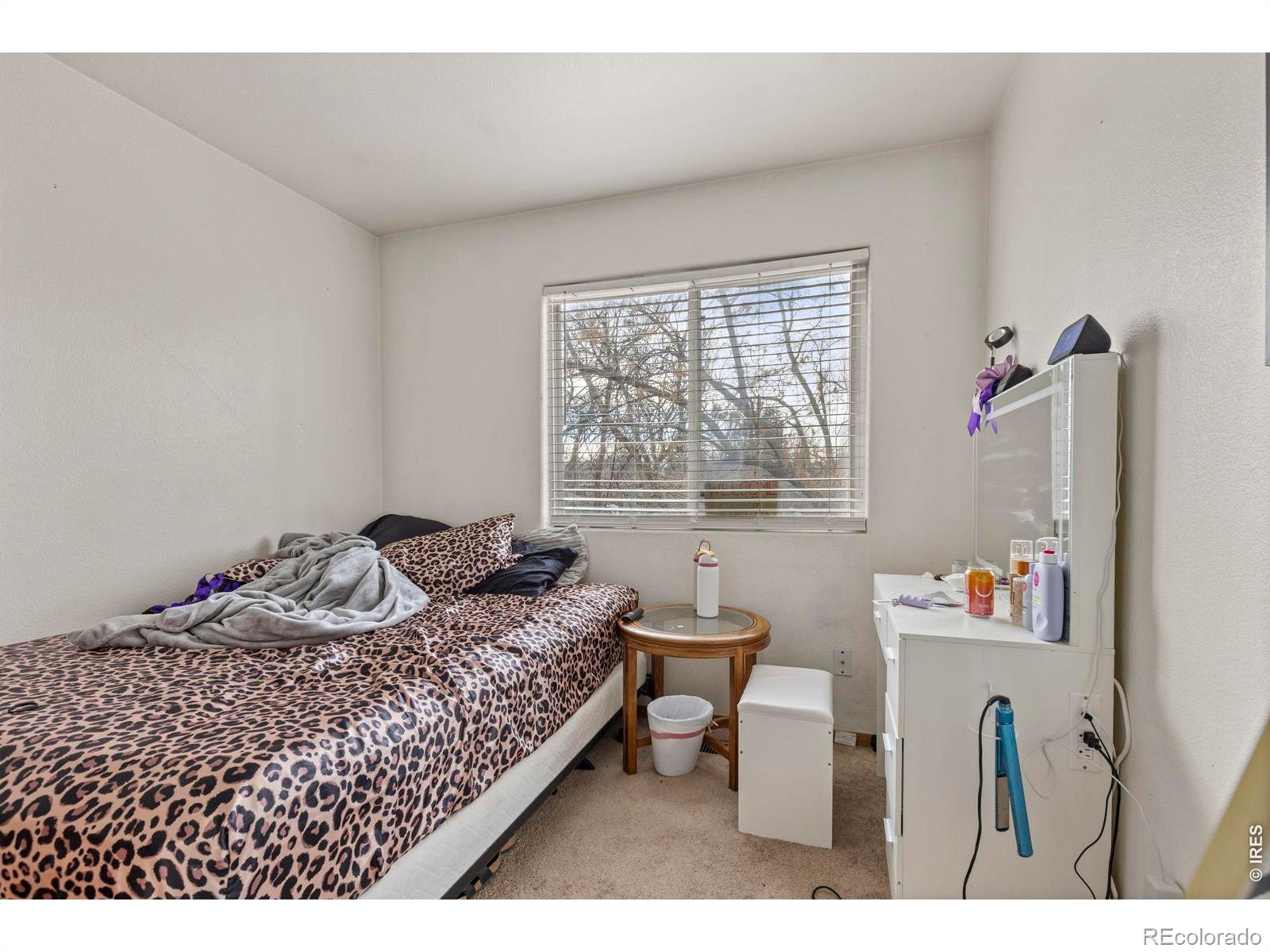 MLS Image #16 for 1017  washington avenue,loveland, Colorado