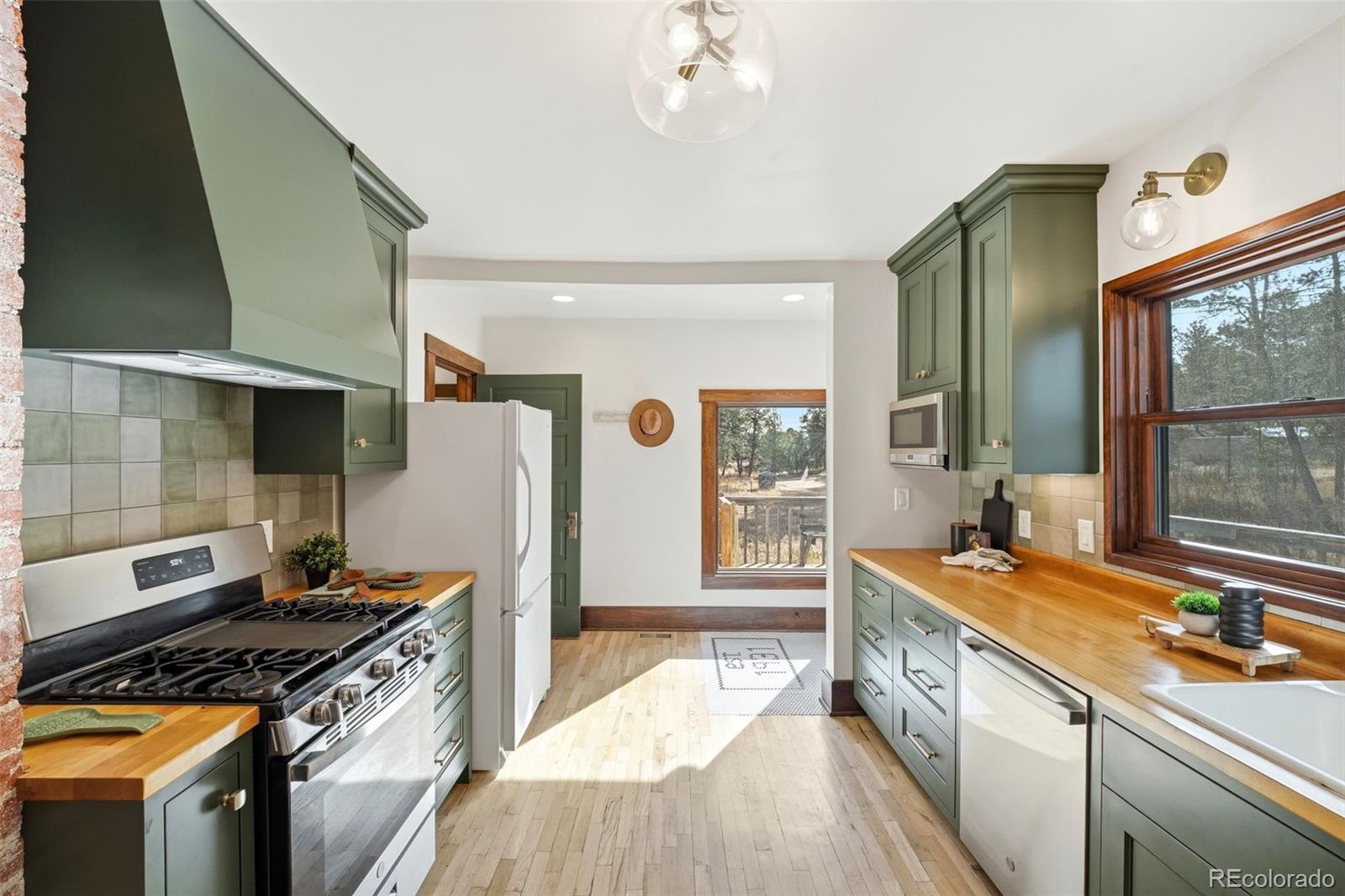 MLS Image #14 for 12375 n meridian road,elbert, Colorado