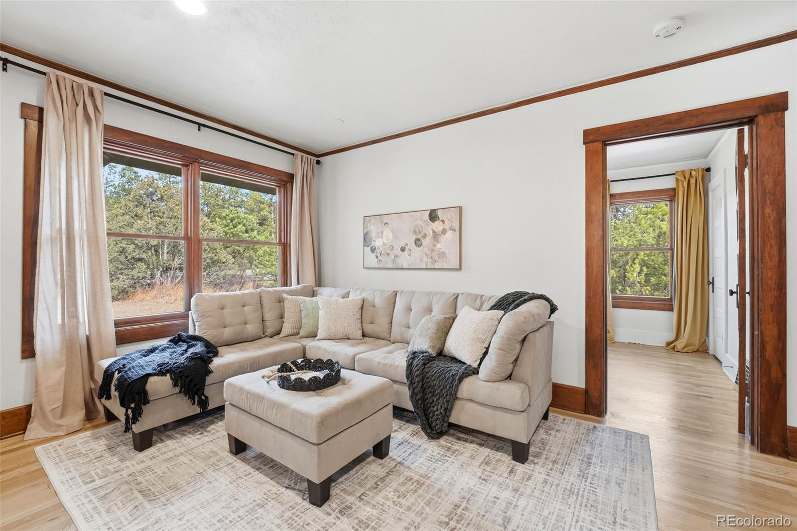 MLS Image #5 for 12375 n meridian road,elbert, Colorado