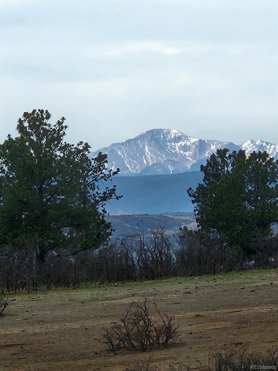 MLS Image #1 for 164  rockingham circle,castle pines, Colorado