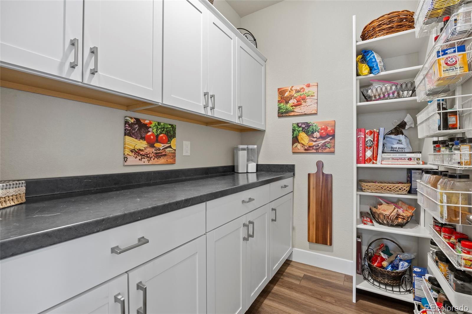 MLS Image #21 for 164  rockingham circle,castle pines, Colorado