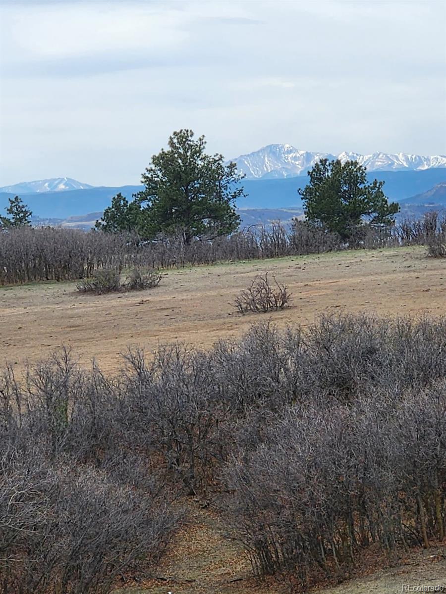 MLS Image #37 for 164  rockingham circle,castle pines, Colorado