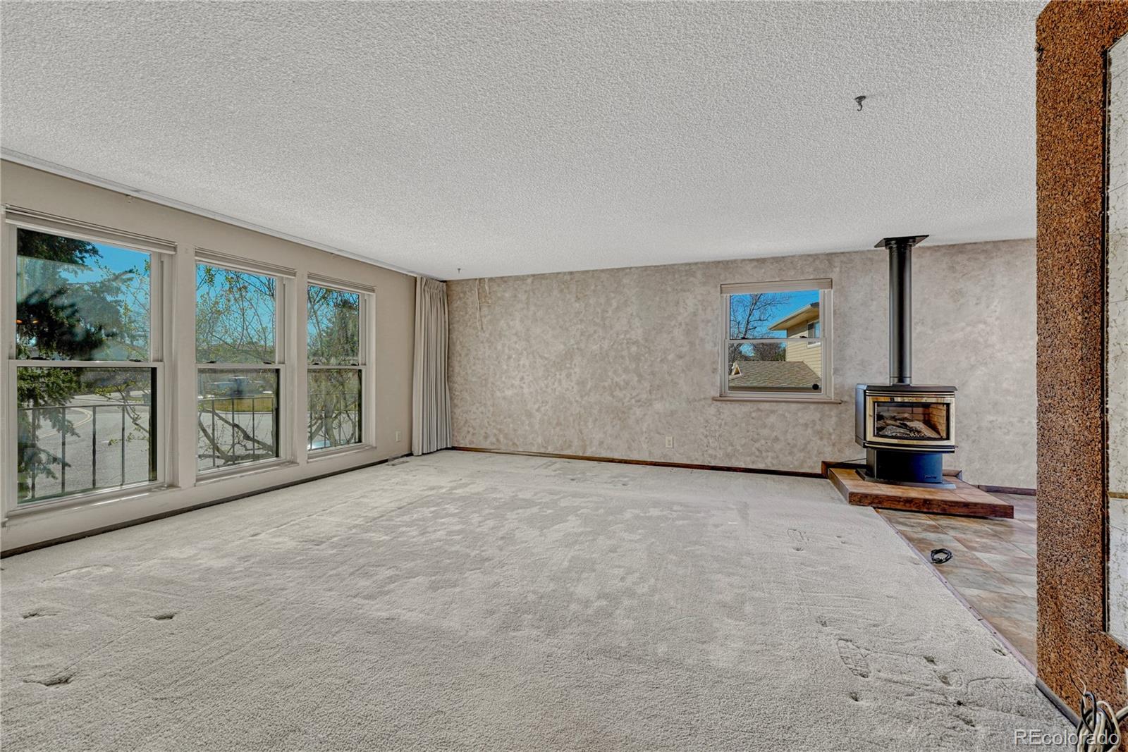 MLS Image #3 for 10453  zuni street,northglenn, Colorado