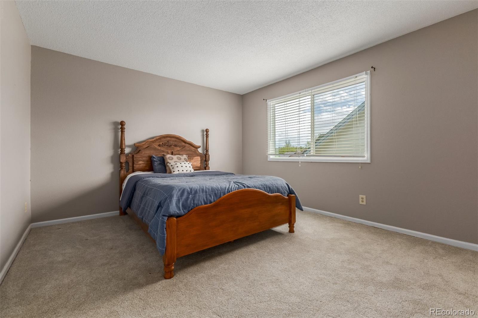 MLS Image #20 for 9407  harvard drive,highlands ranch, Colorado