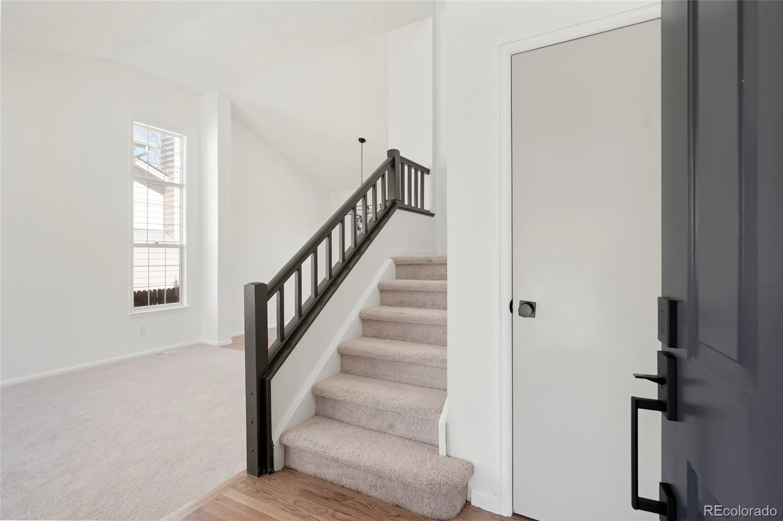 MLS Image #15 for 5362 s danube court,centennial, Colorado