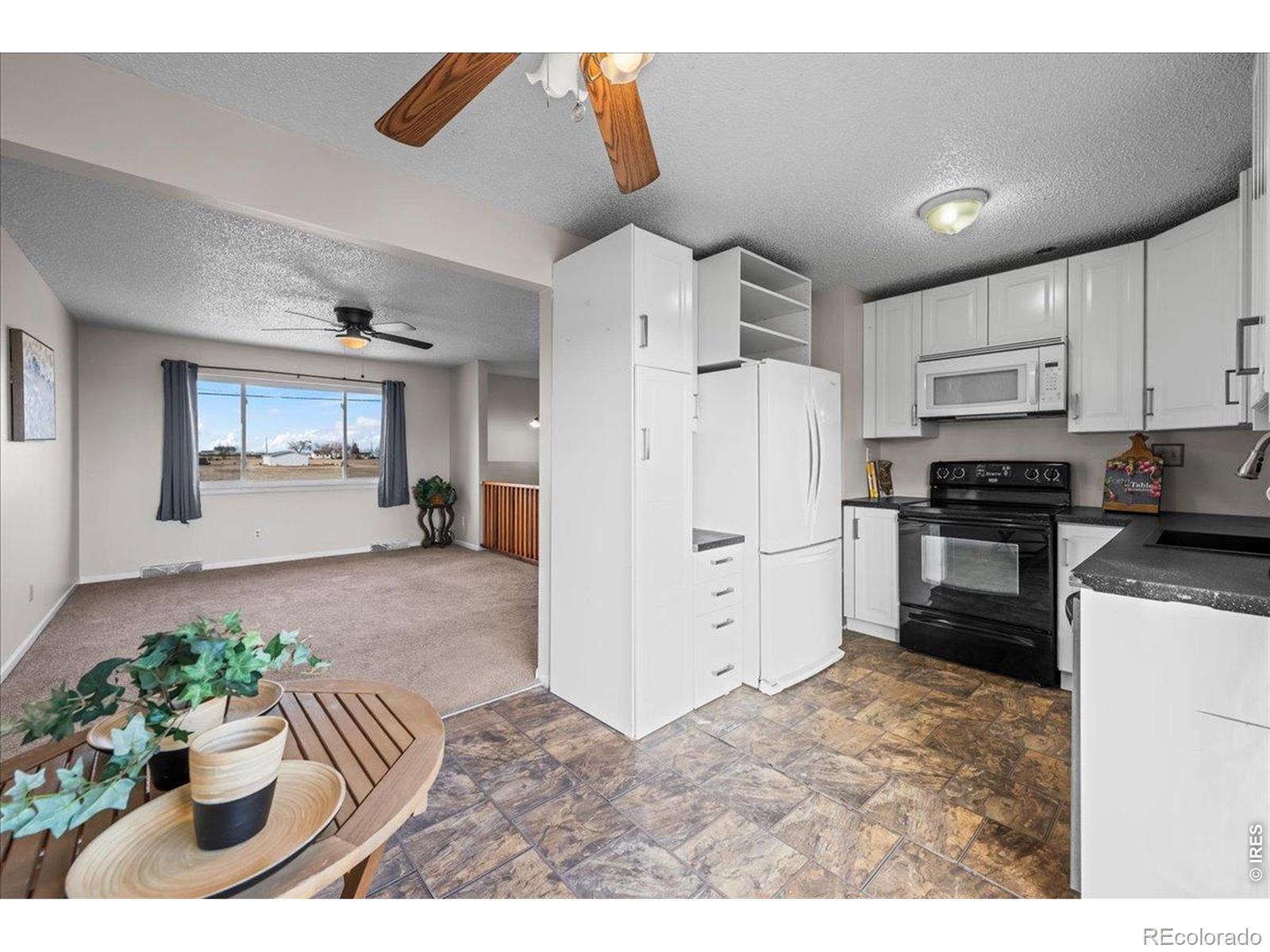 MLS Image #7 for 516 w main avenue,pierce, Colorado