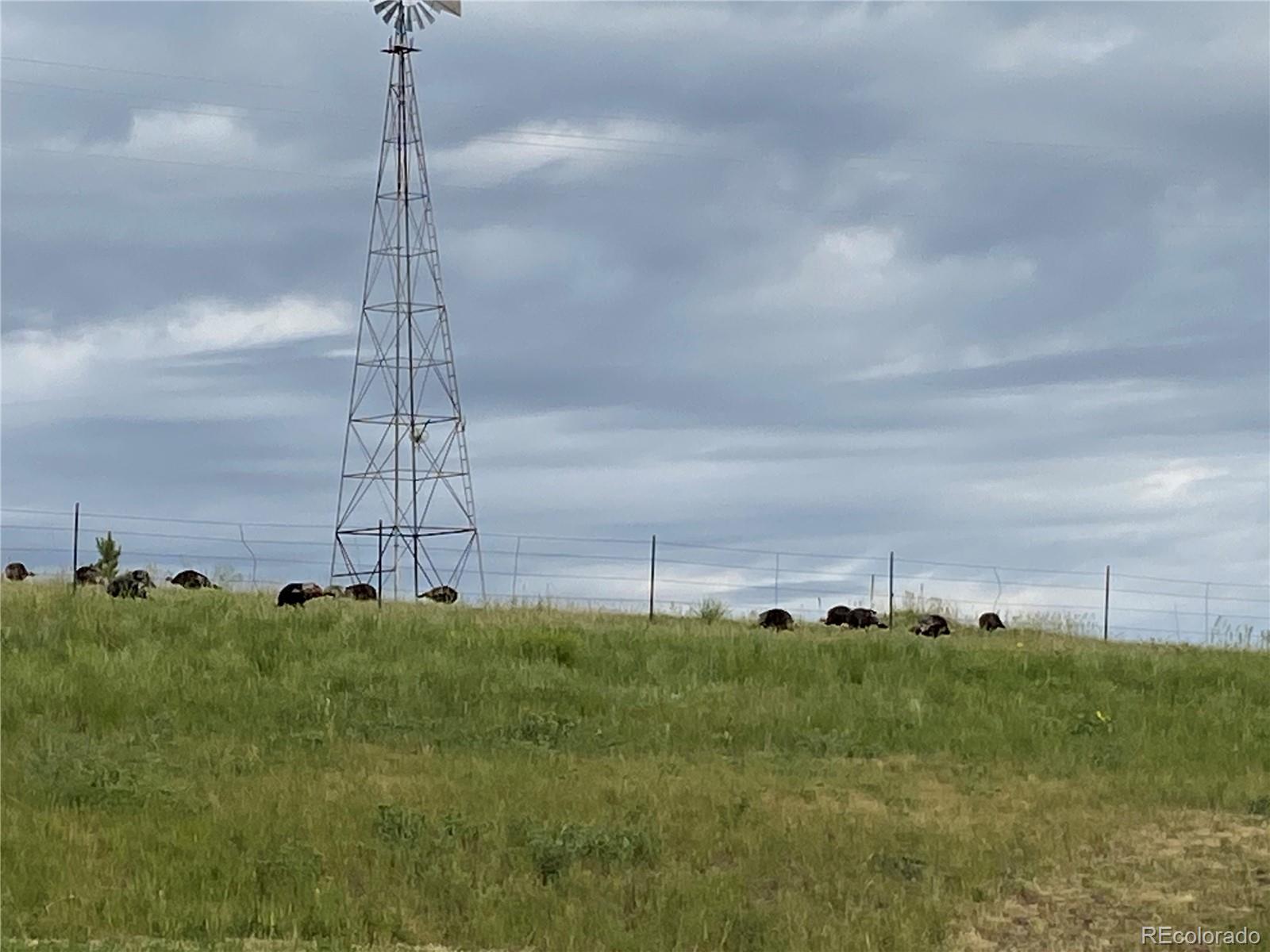 MLS Image #46 for 575  howling circle,elizabeth, Colorado