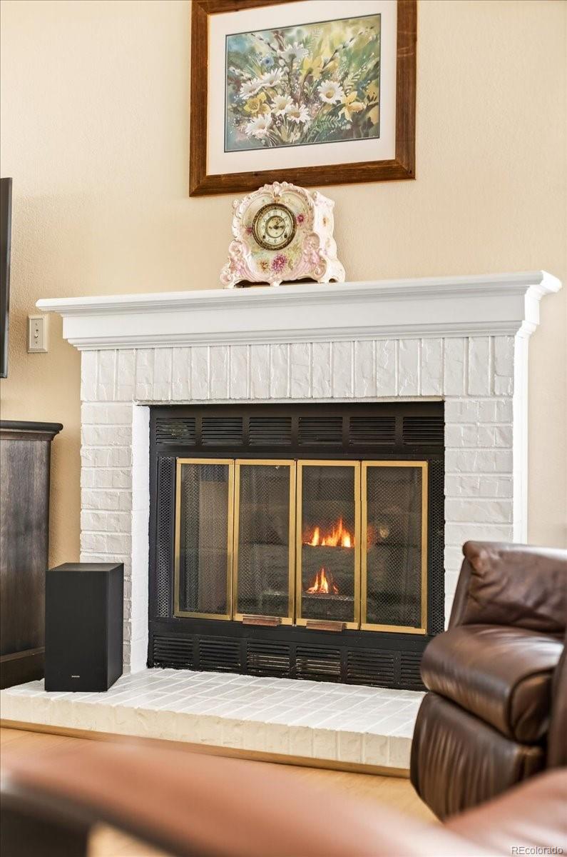 MLS Image #3 for 20  shetland court,highlands ranch, Colorado
