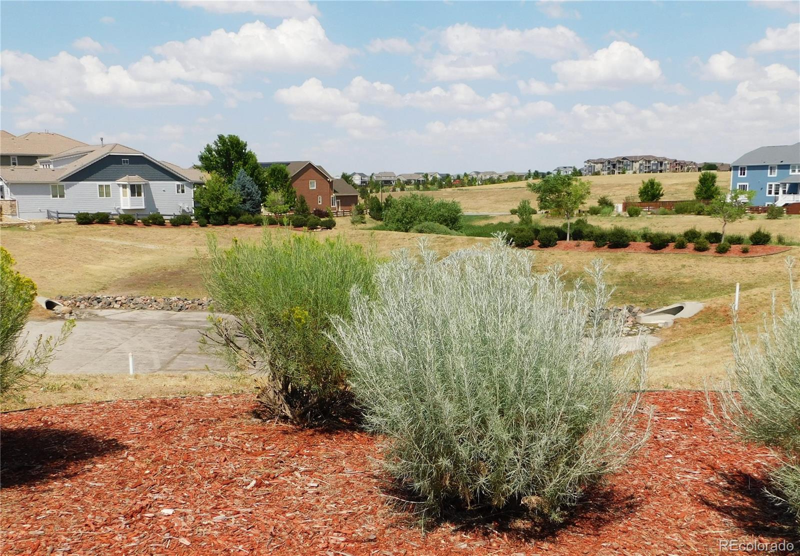 MLS Image #21 for 10473  rutledge street,parker, Colorado