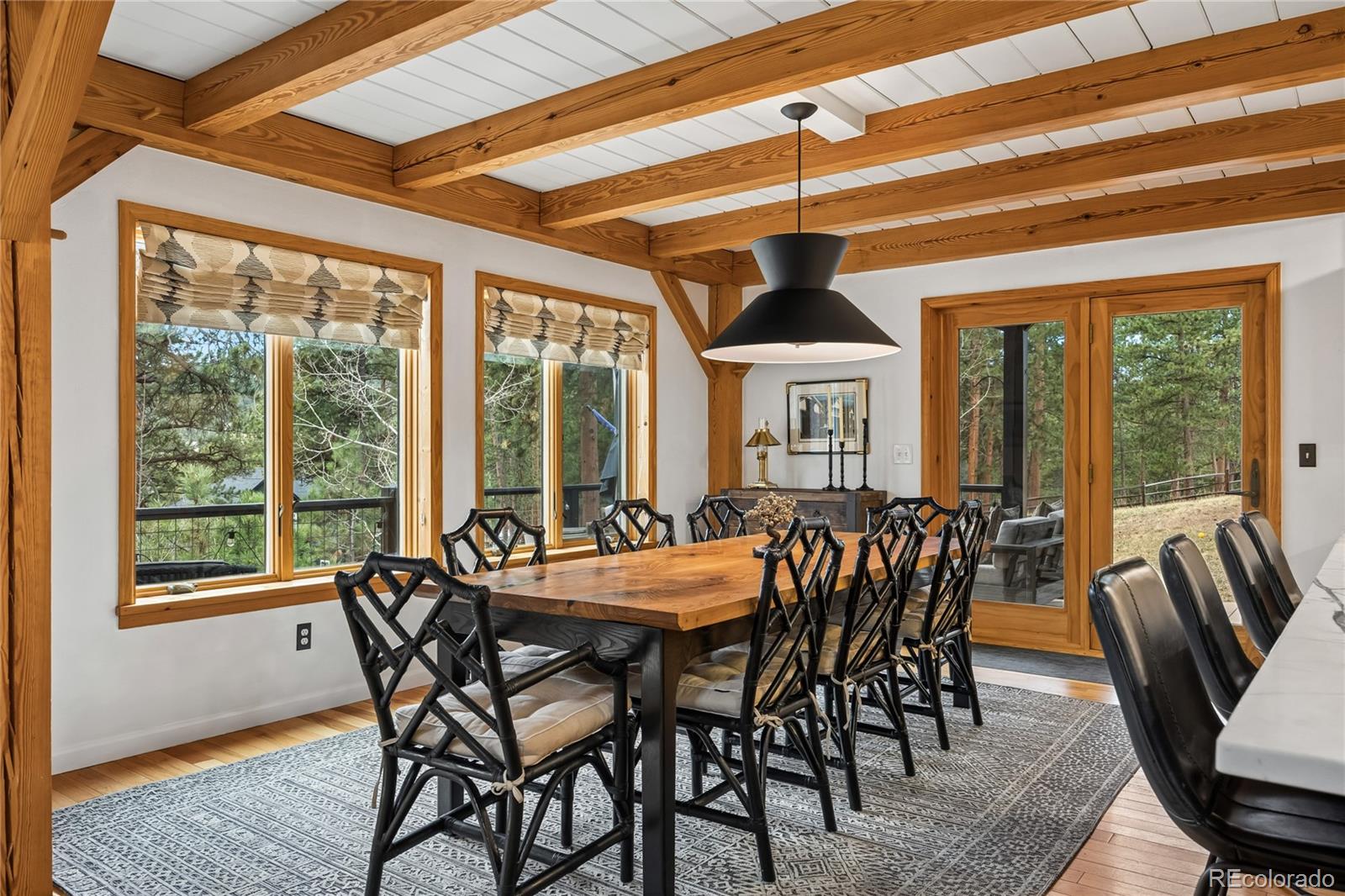 MLS Image #12 for 23111  shoshone road,indian hills, Colorado