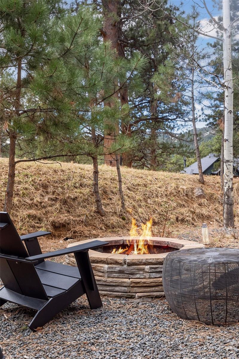 MLS Image #42 for 23111  shoshone road,indian hills, Colorado