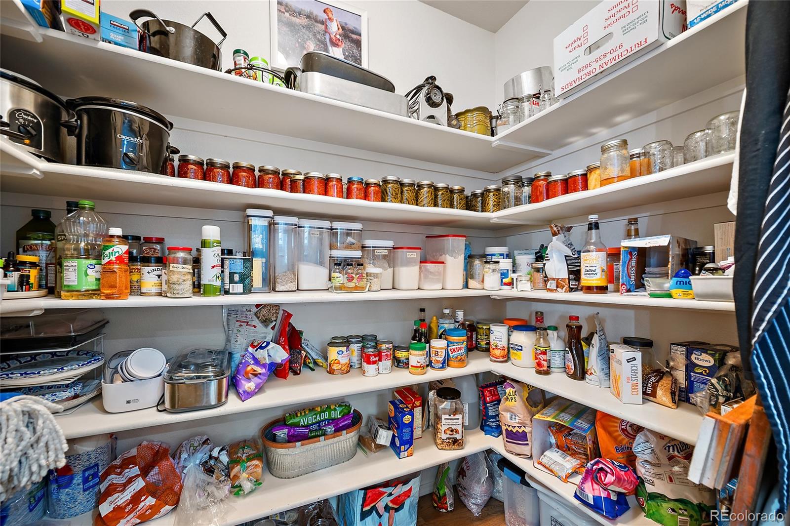 MLS Image #16 for 5624  altitude drive,colorado springs, Colorado