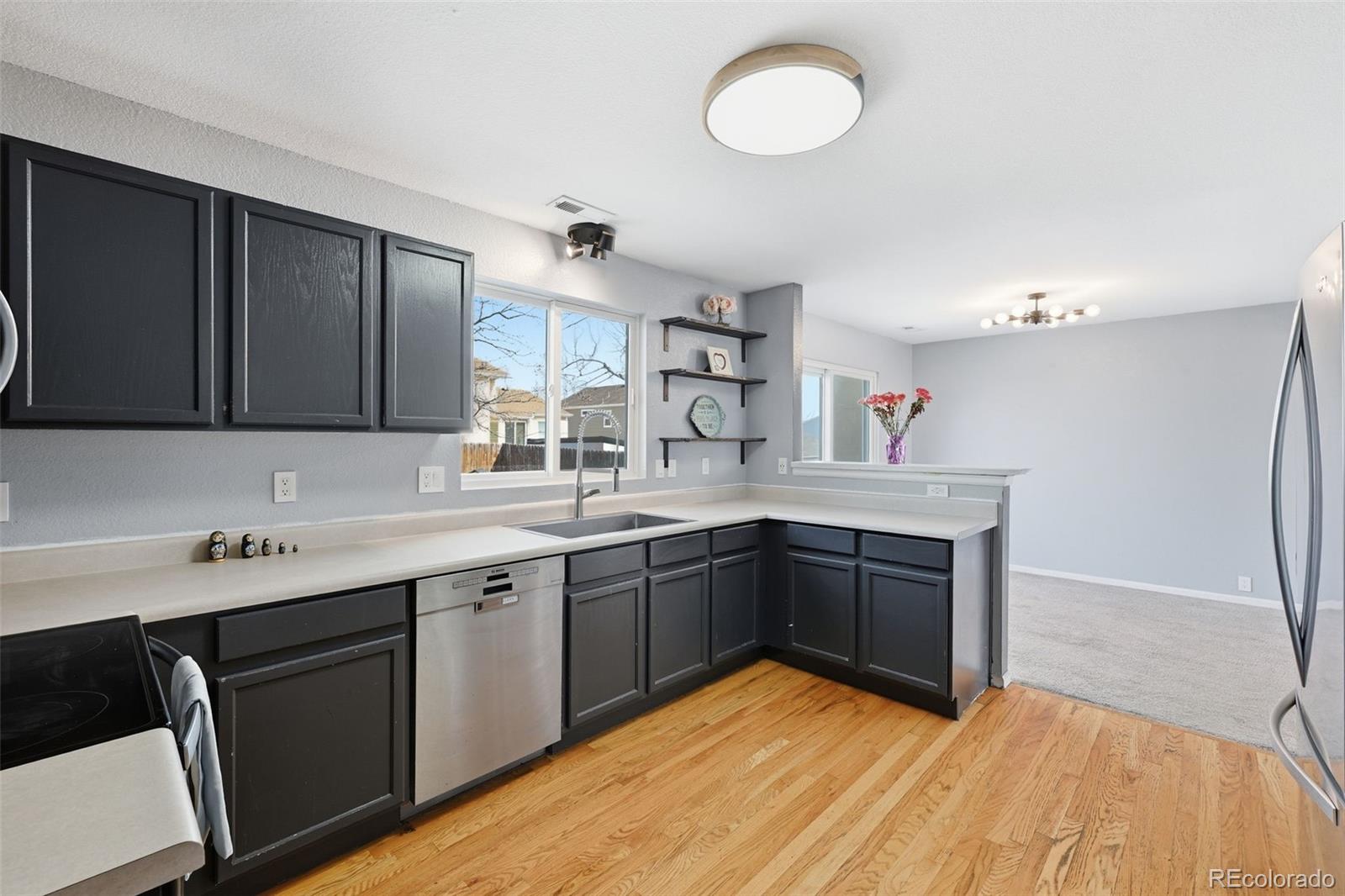 MLS Image #11 for 6914  summer grace street,colorado springs, Colorado