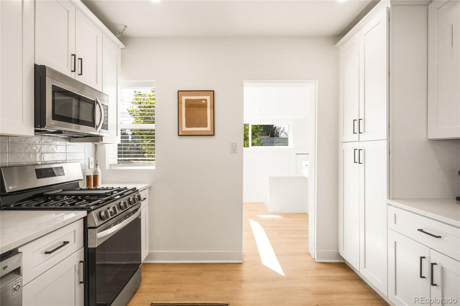 MLS Image #12 for 3501 n josephine street,denver, Colorado