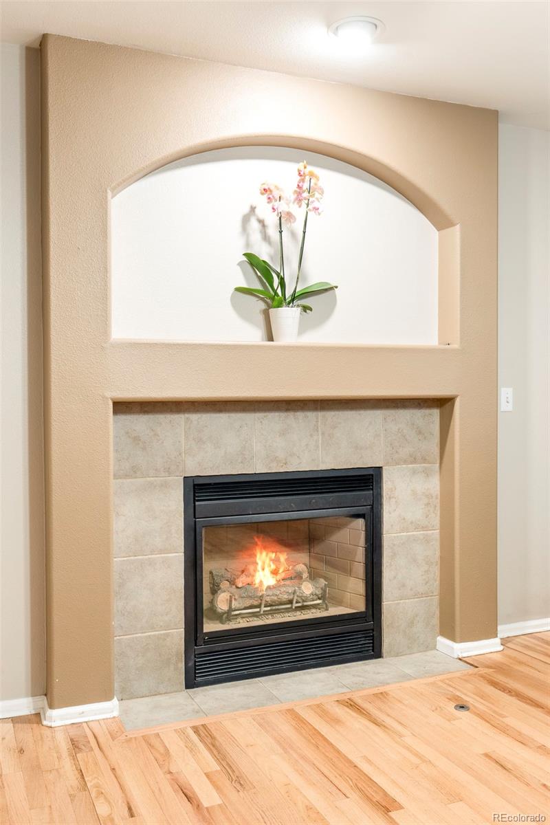 MLS Image #11 for 22298 e lake avenue,centennial, Colorado