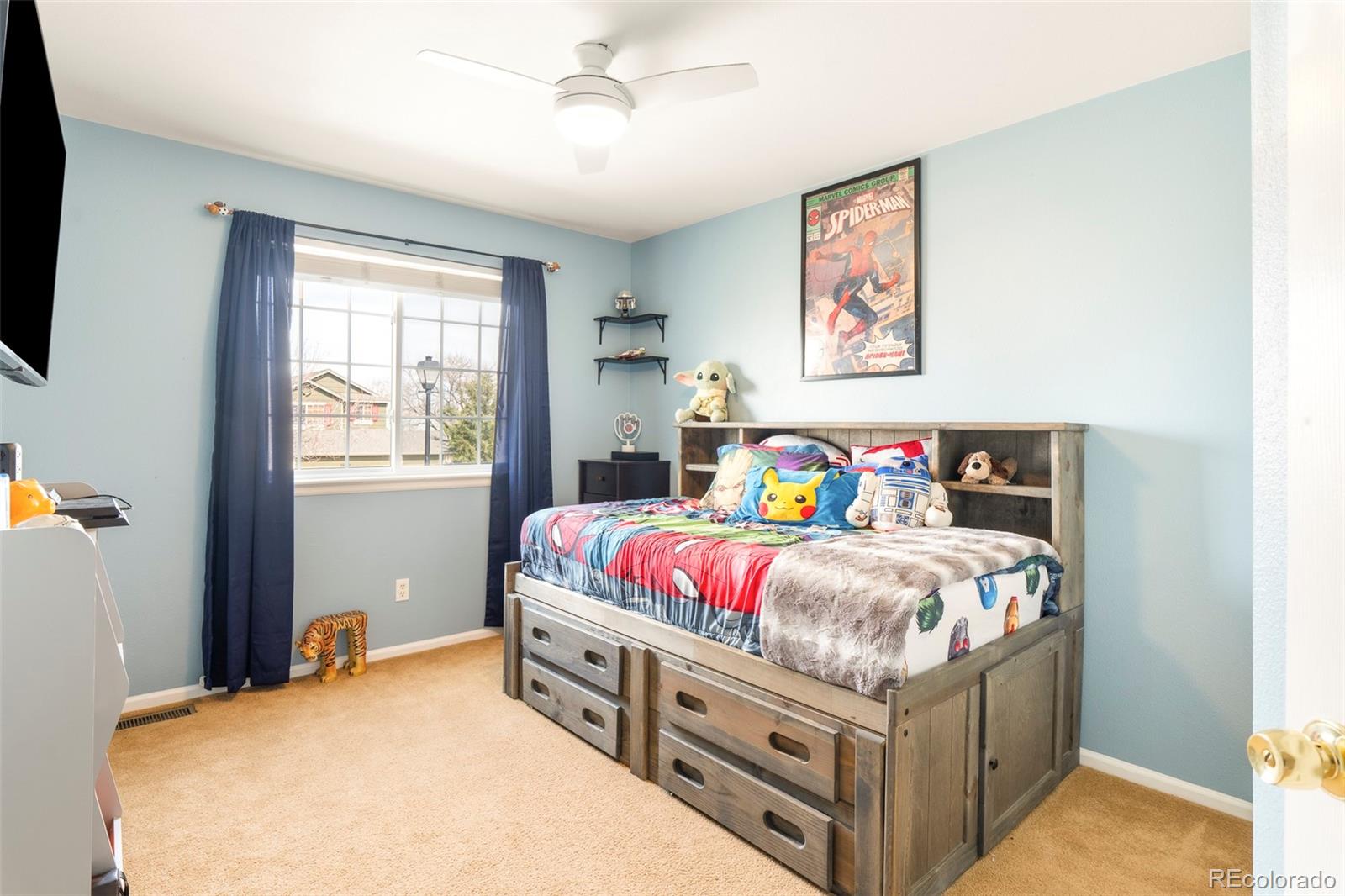 MLS Image #19 for 22298 e lake avenue,centennial, Colorado