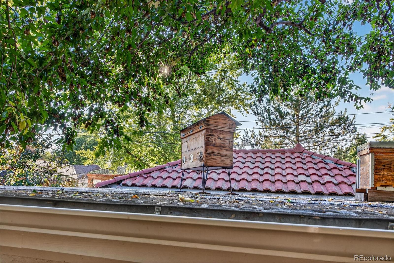 MLS Image #47 for 1793  ivanhoe street,denver, Colorado