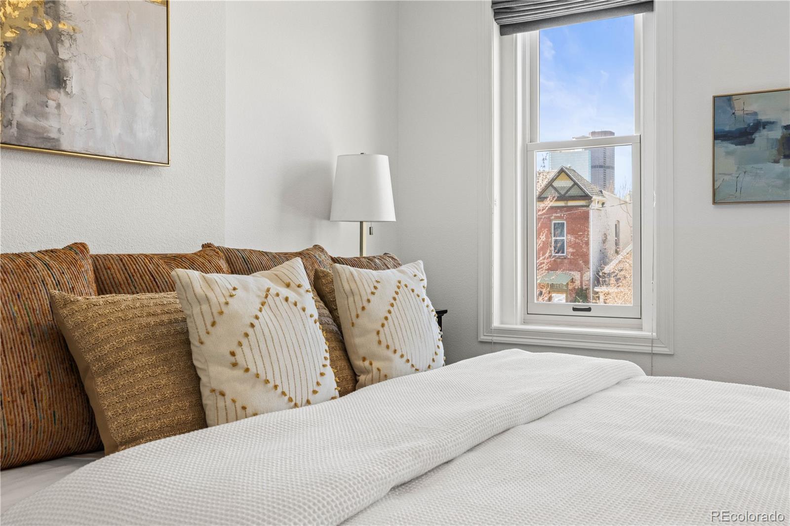 MLS Image #27 for 2342 n ogden street,denver, Colorado