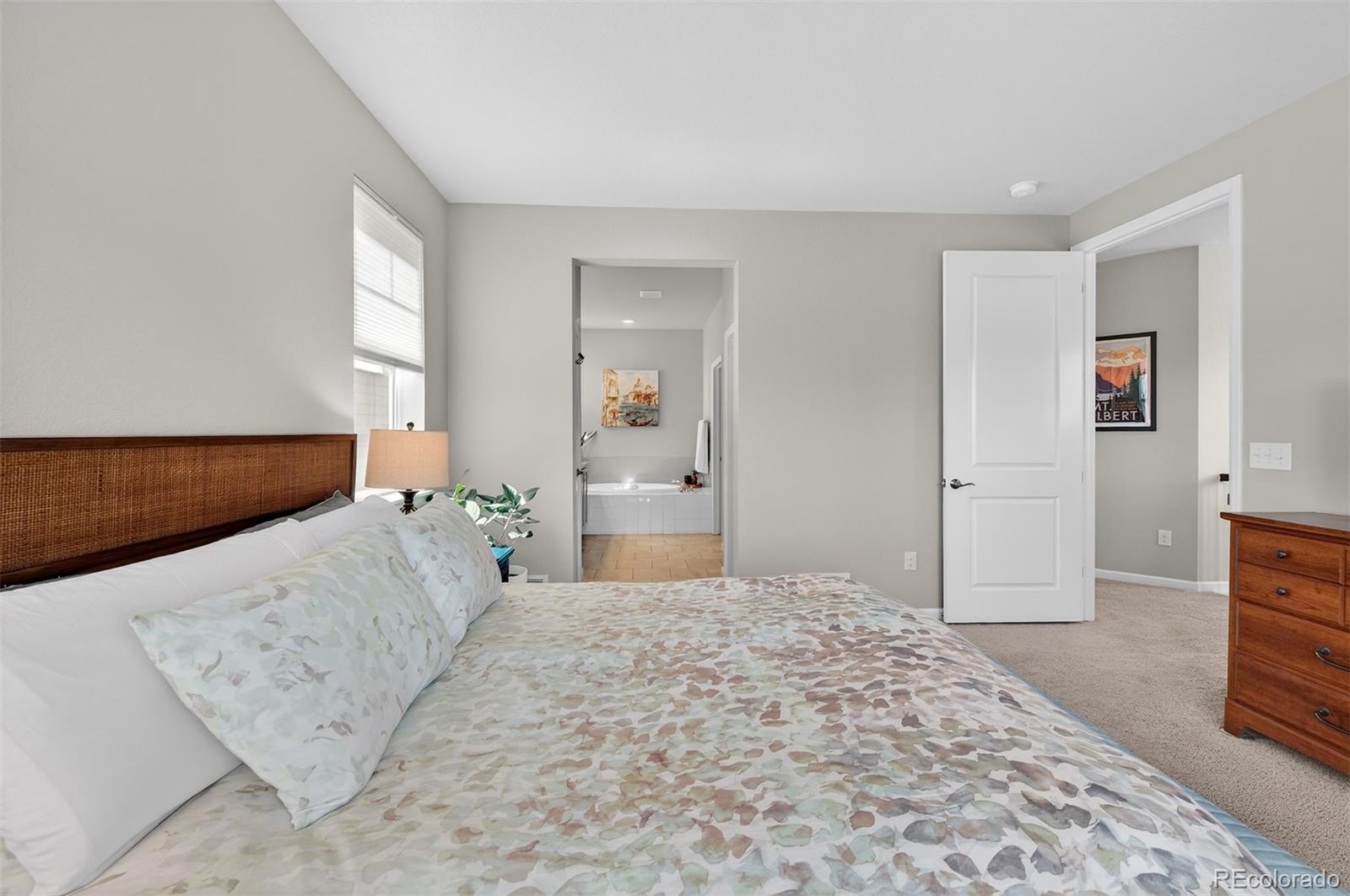 MLS Image #20 for 556 e fremont place,centennial, Colorado