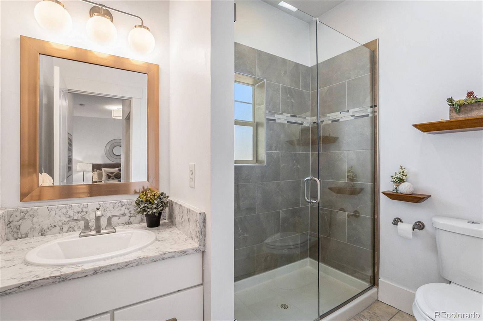 MLS Image #16 for 3131 n franklin street,denver, Colorado