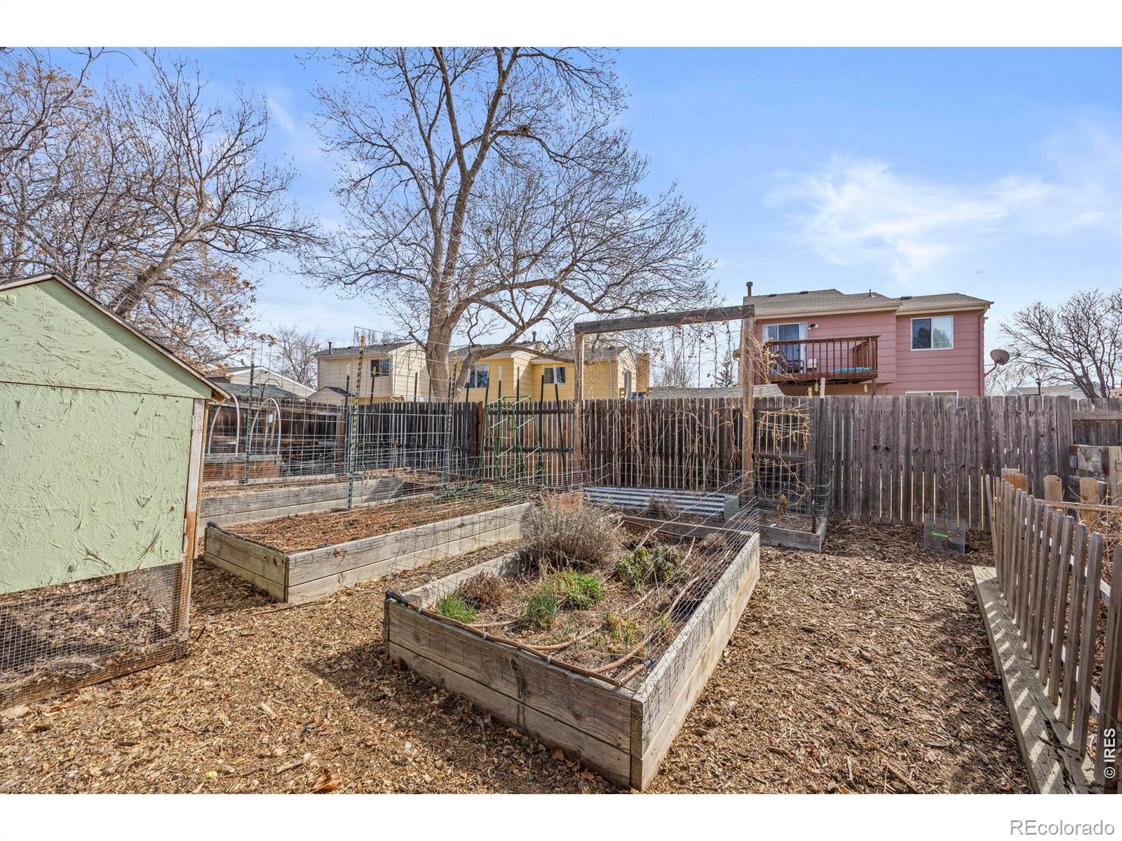 MLS Image #26 for 1816  rice street,longmont, Colorado