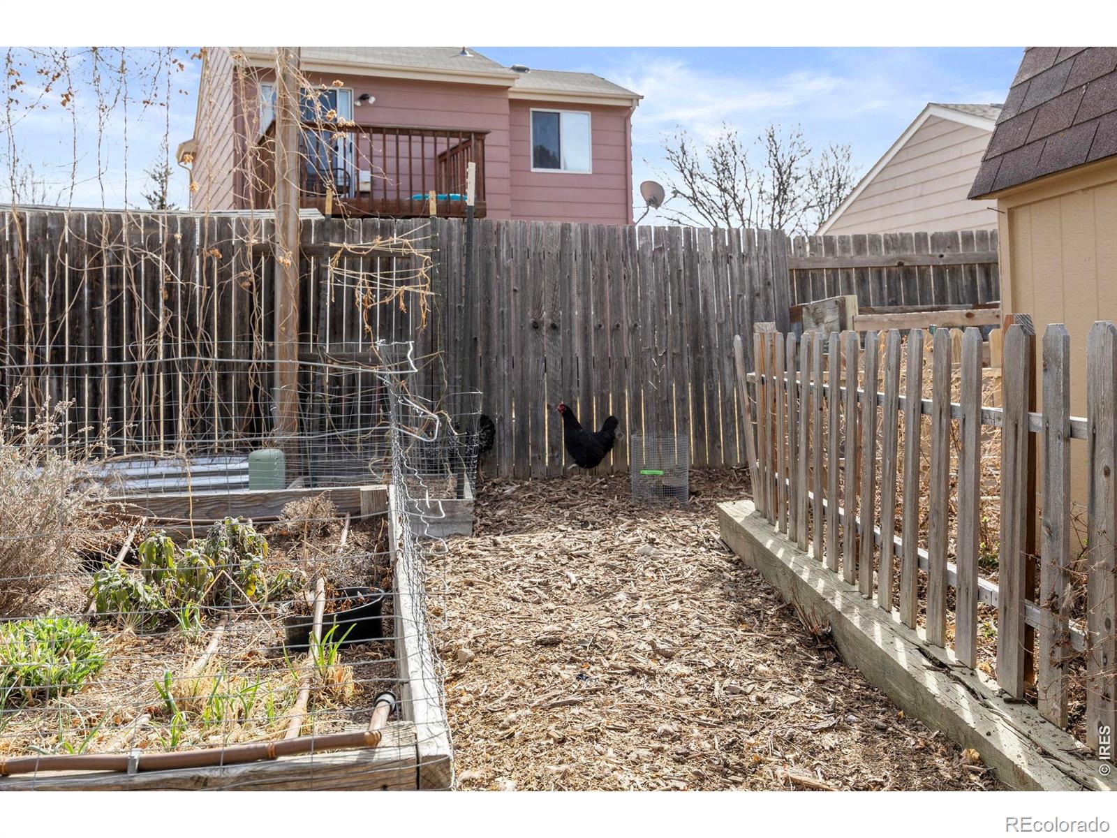 MLS Image #27 for 1816  rice street,longmont, Colorado