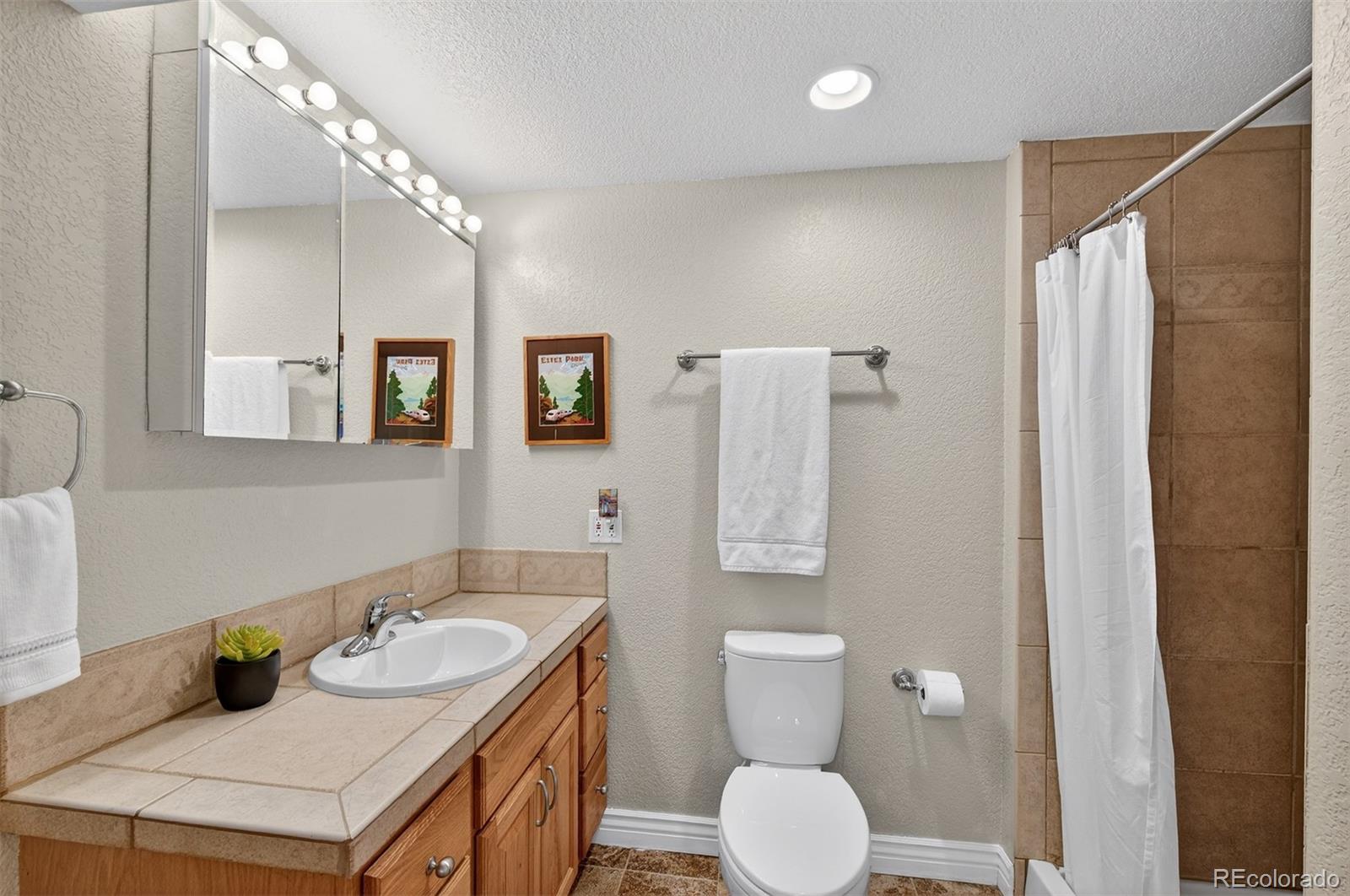 MLS Image #38 for 33  lark bunting lane,littleton, Colorado
