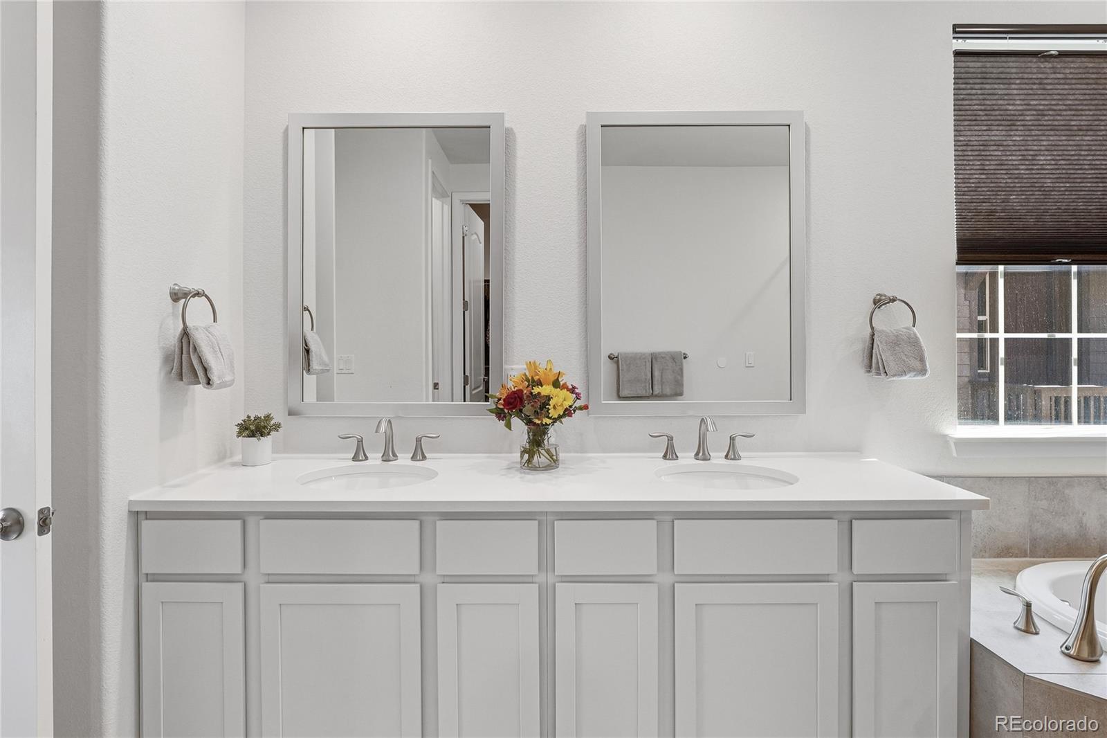 MLS Image #20 for 7939  laramie river lane,littleton, Colorado