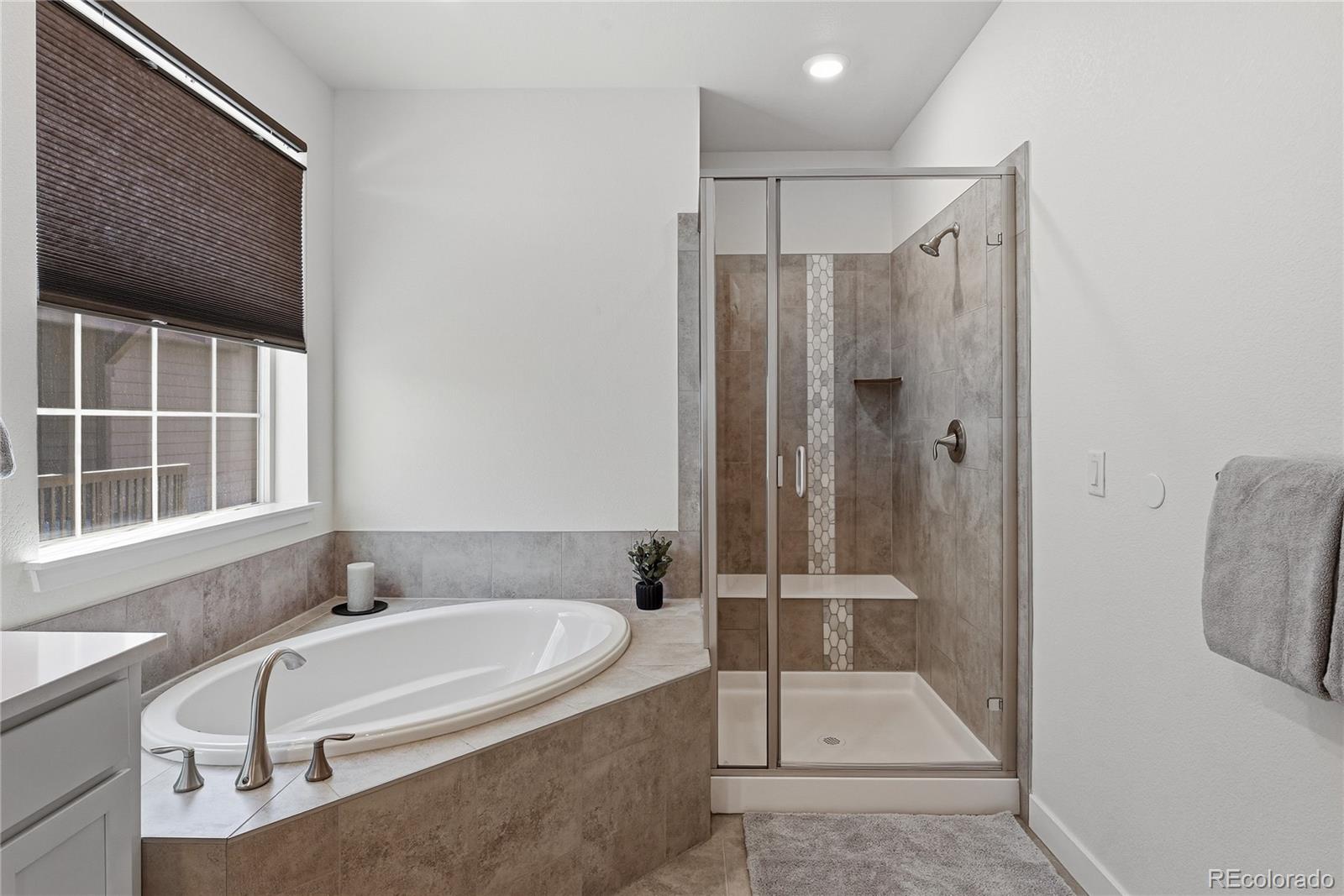 MLS Image #22 for 7939  laramie river lane,littleton, Colorado