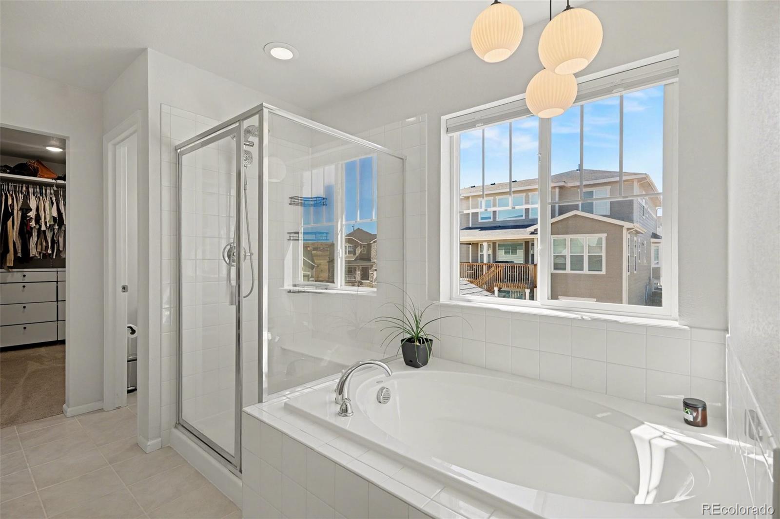 MLS Image #15 for 4579  gray wolf lane,castle rock, Colorado