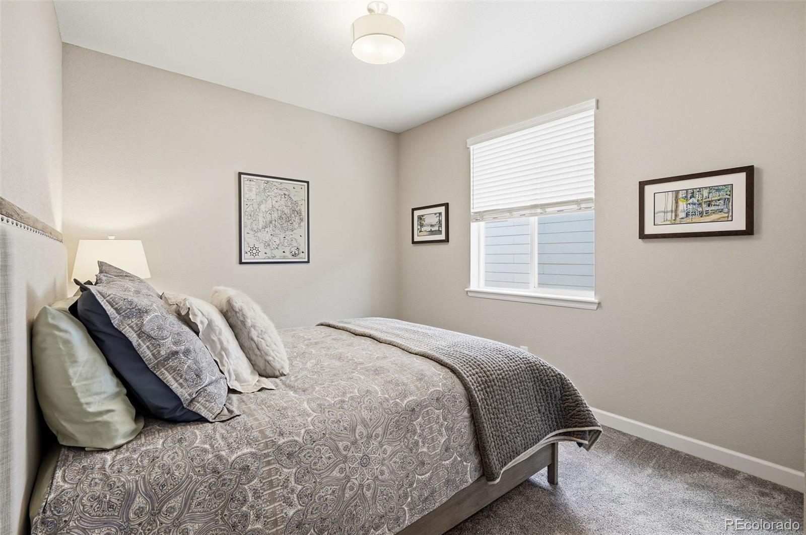 MLS Image #19 for 2185  peralta loop,castle rock, Colorado