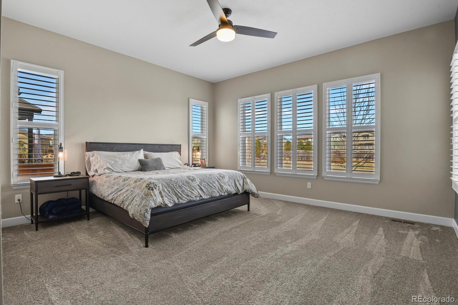 MLS Image #15 for 11157  sweet cicely drive,parker, Colorado