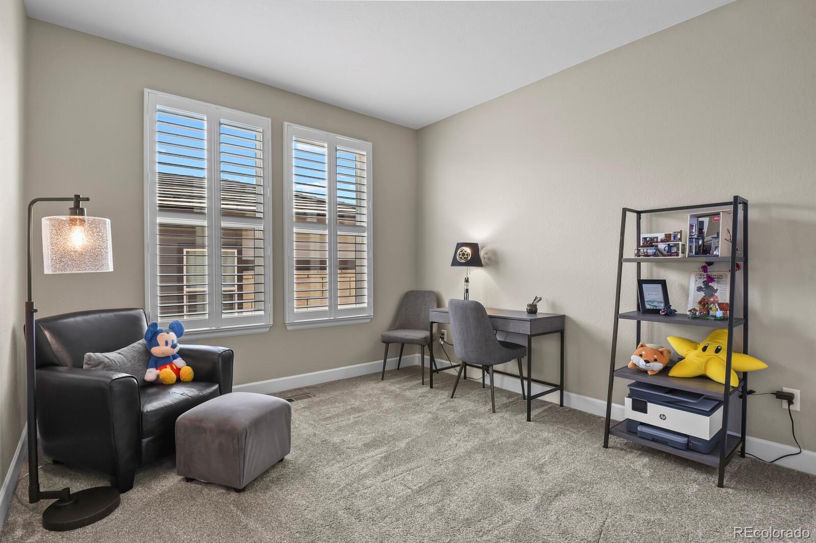 MLS Image #23 for 11157  sweet cicely drive,parker, Colorado