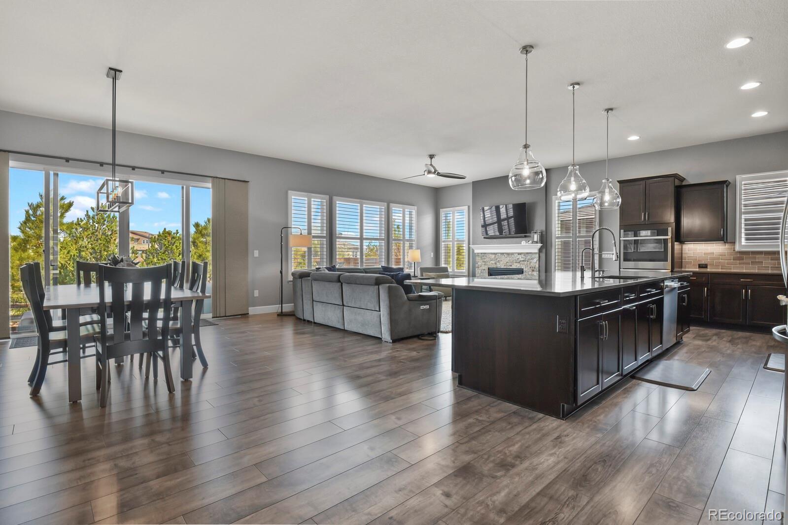 MLS Image #5 for 11157  sweet cicely drive,parker, Colorado