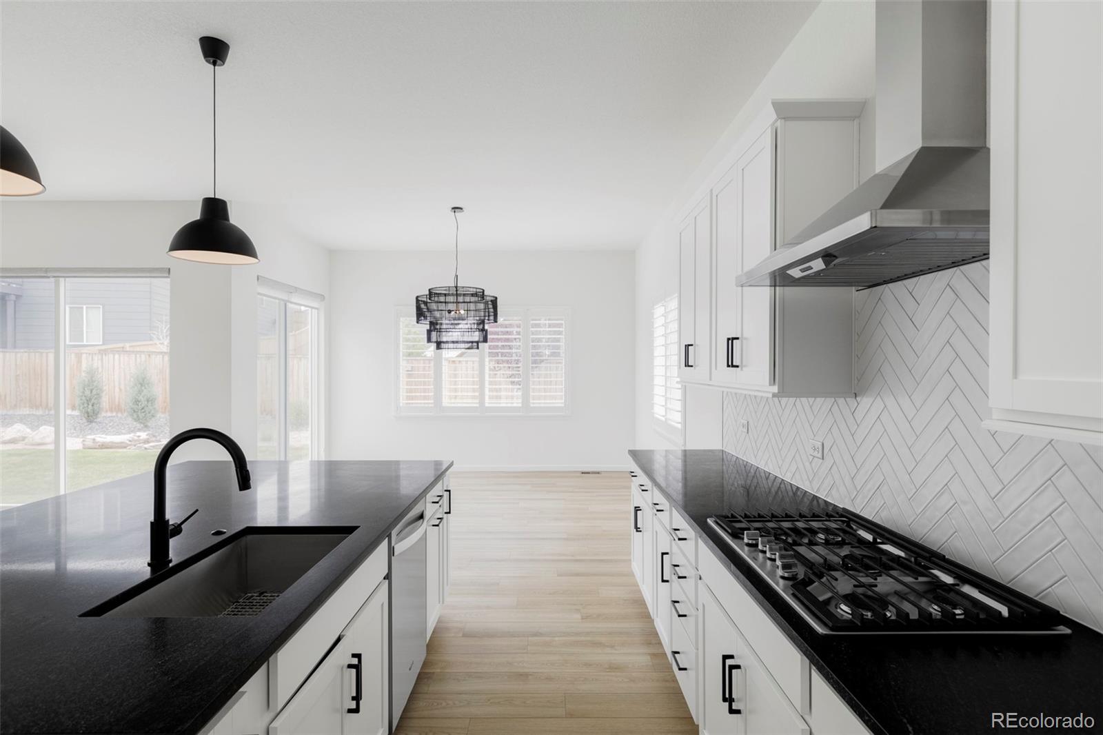 MLS Image #10 for 14395  hop clover street,parker, Colorado