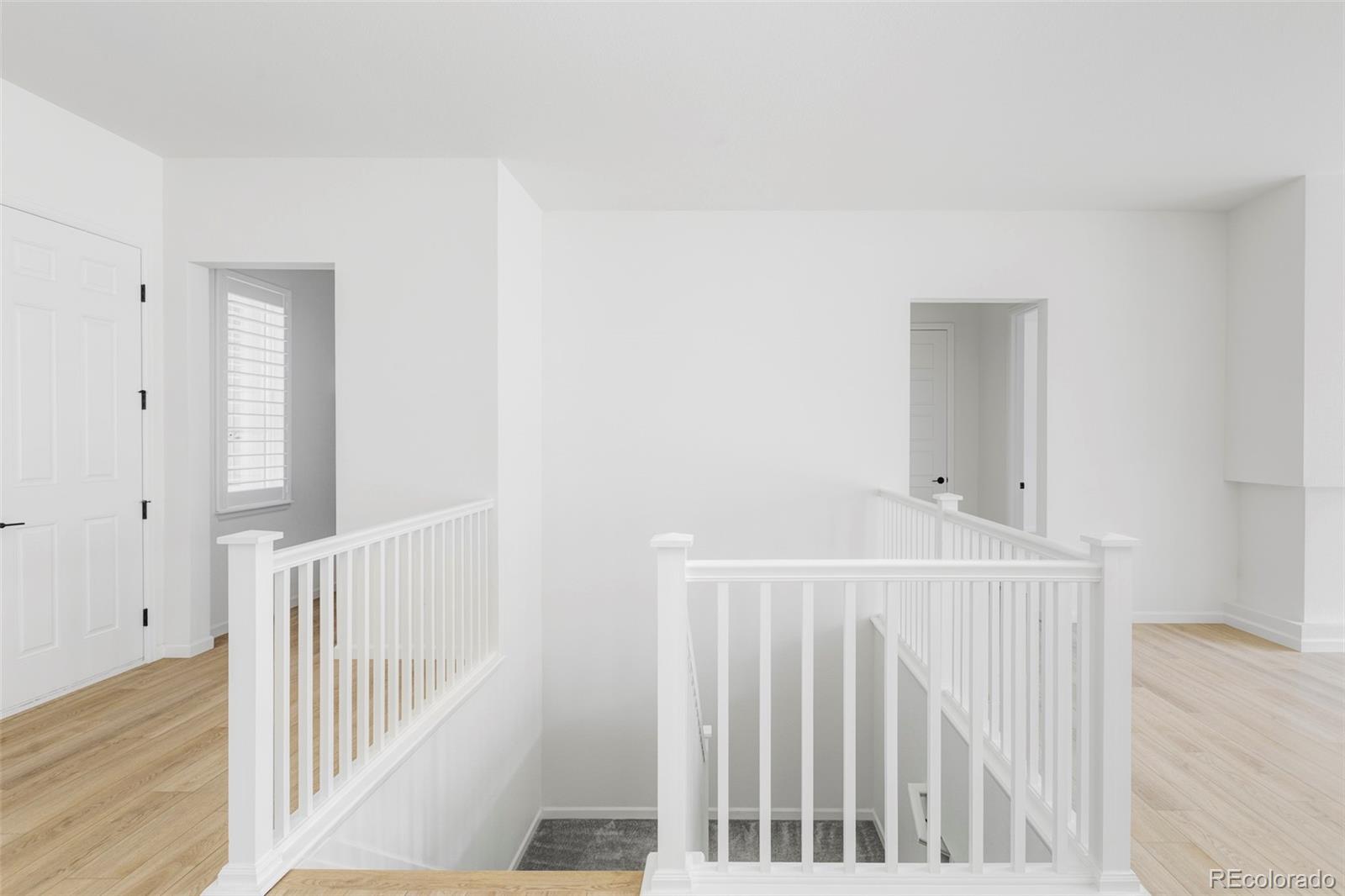 MLS Image #5 for 14395  hop clover street,parker, Colorado