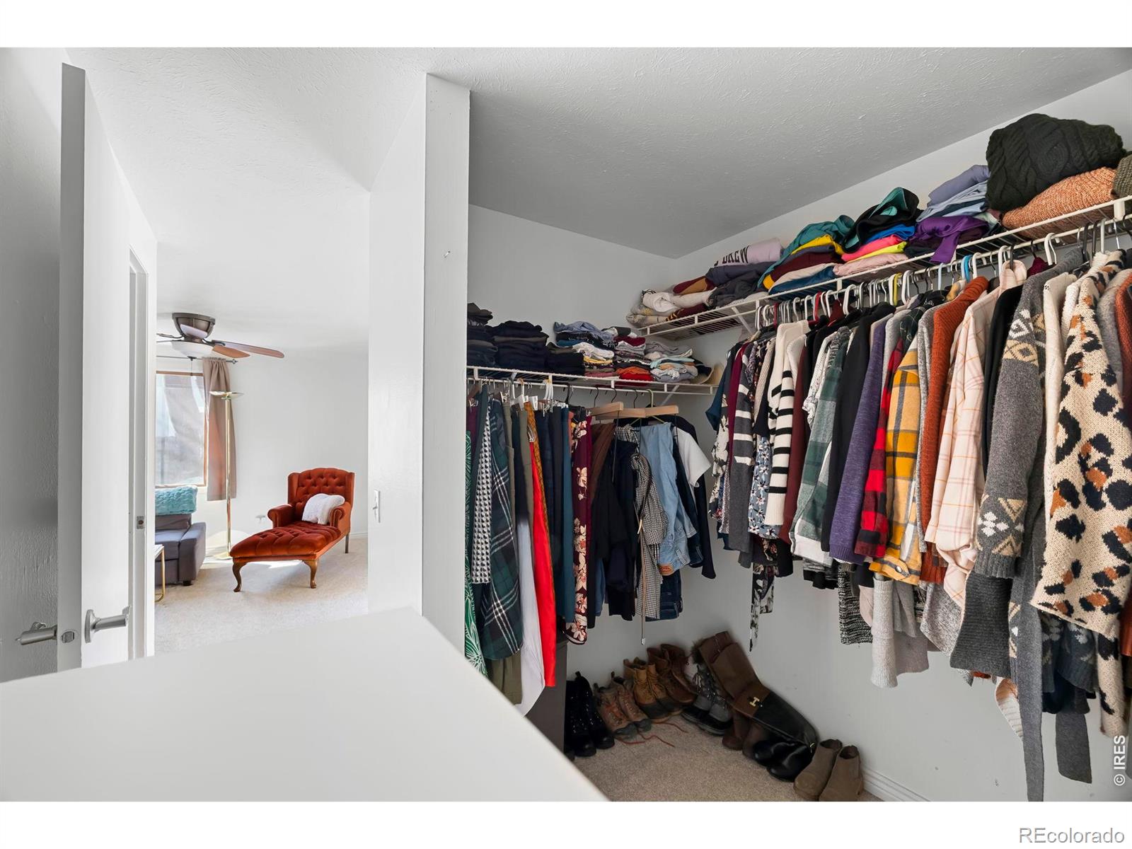 MLS Image #14 for 3319  liverpool street,fort collins, Colorado