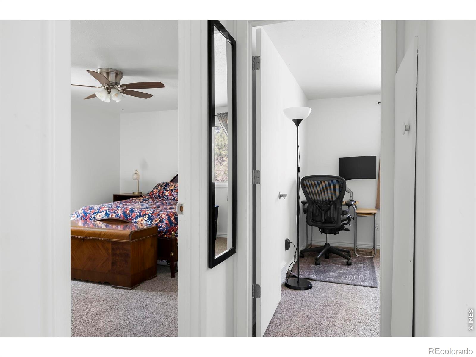 MLS Image #18 for 3319  liverpool street,fort collins, Colorado