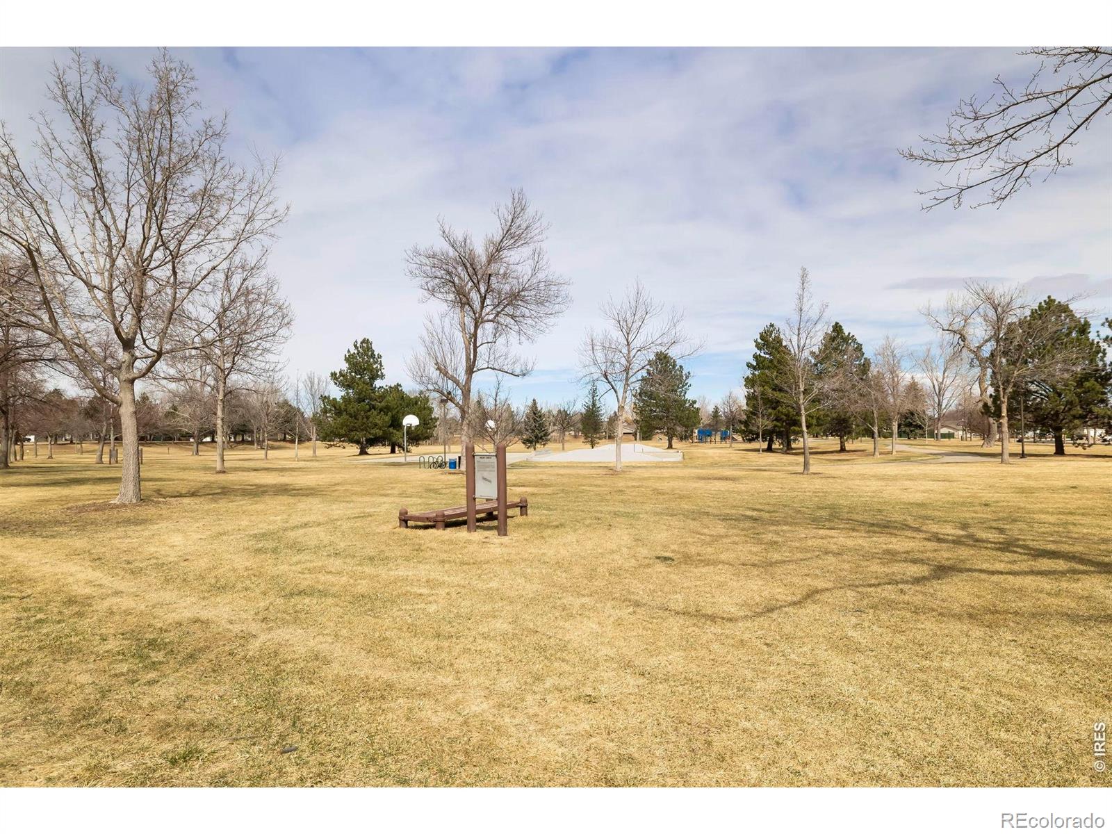 MLS Image #28 for 3319  liverpool street,fort collins, Colorado