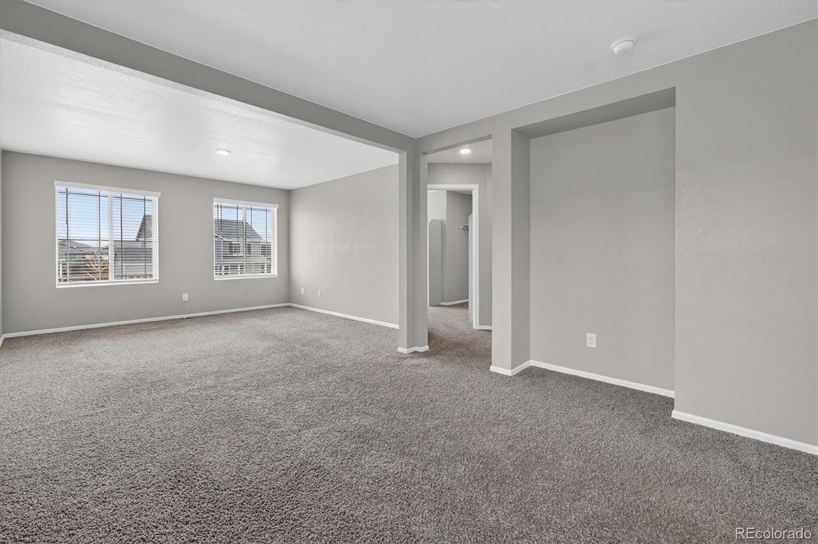 MLS Image #16 for 2018  bouquet drive,windsor, Colorado
