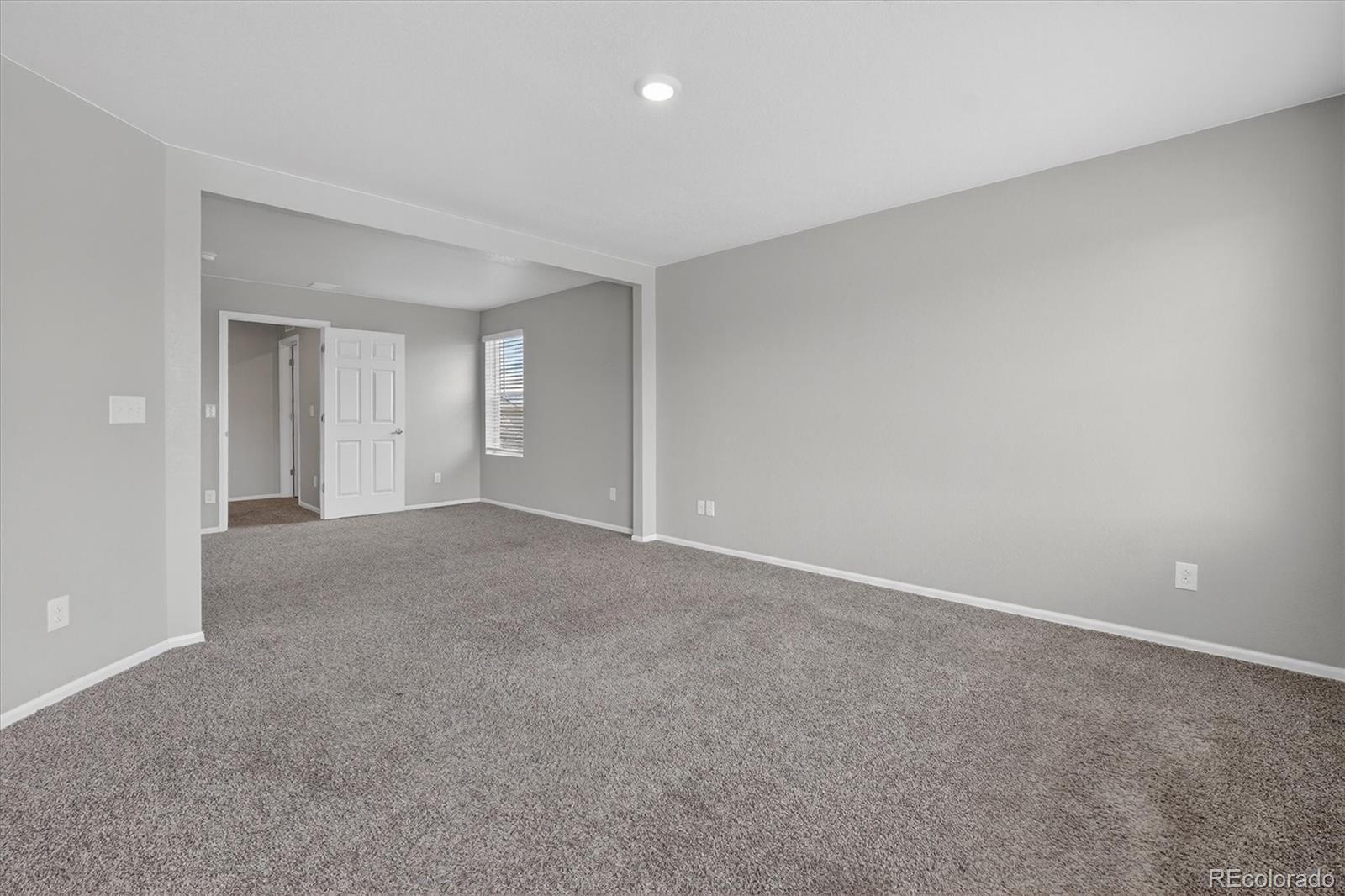 MLS Image #19 for 2018  bouquet drive,windsor, Colorado