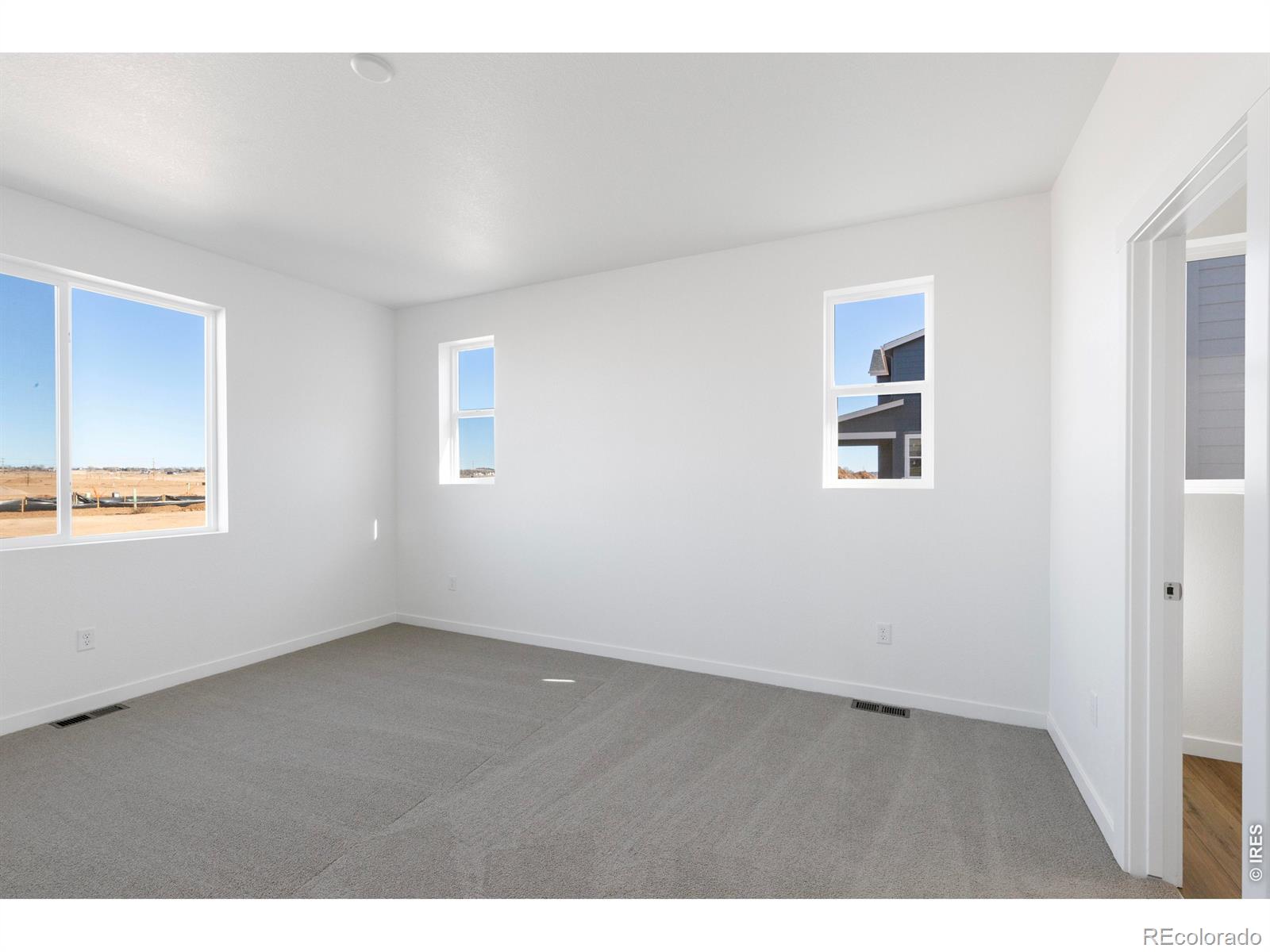 MLS Image #14 for 1454  boyle street,windsor, Colorado