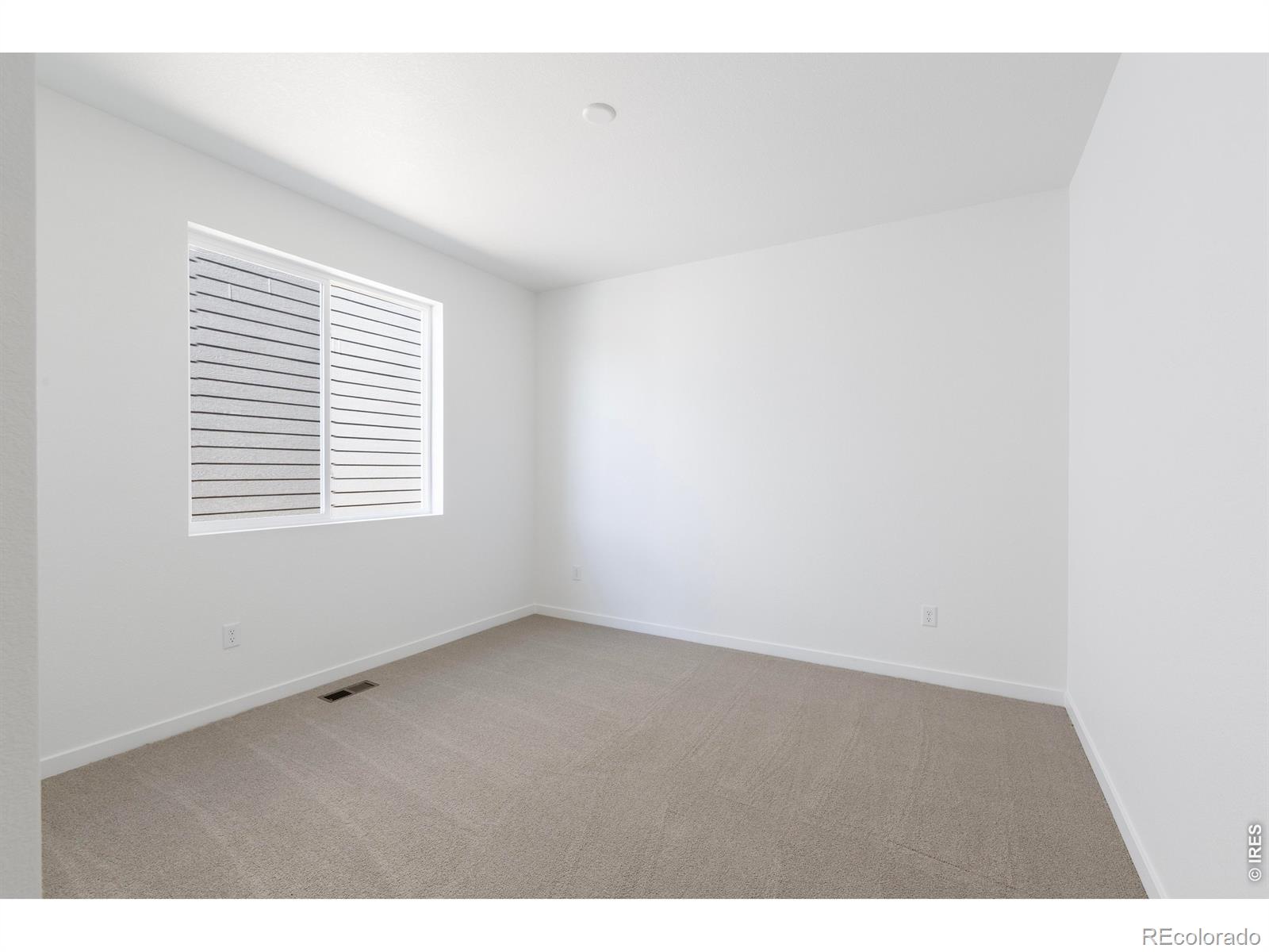 MLS Image #16 for 1454  boyle street,windsor, Colorado