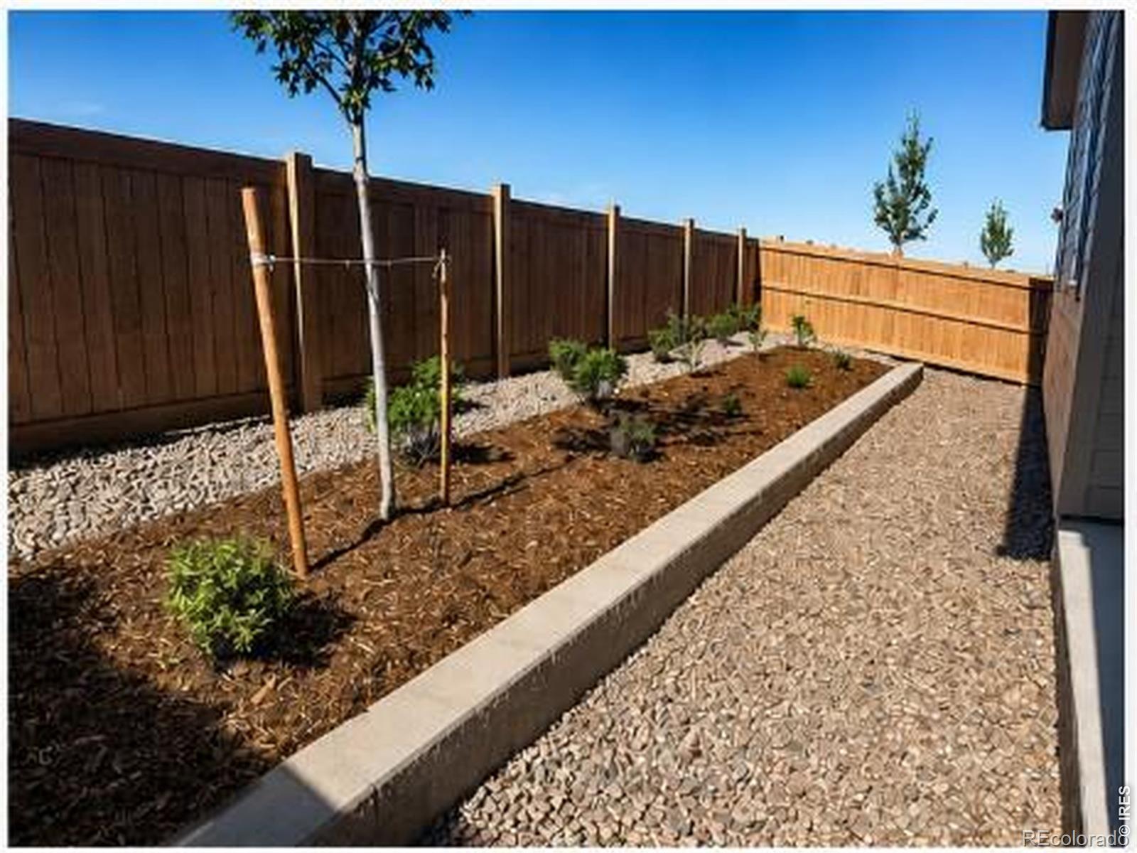 MLS Image #22 for 1454  boyle street,windsor, Colorado