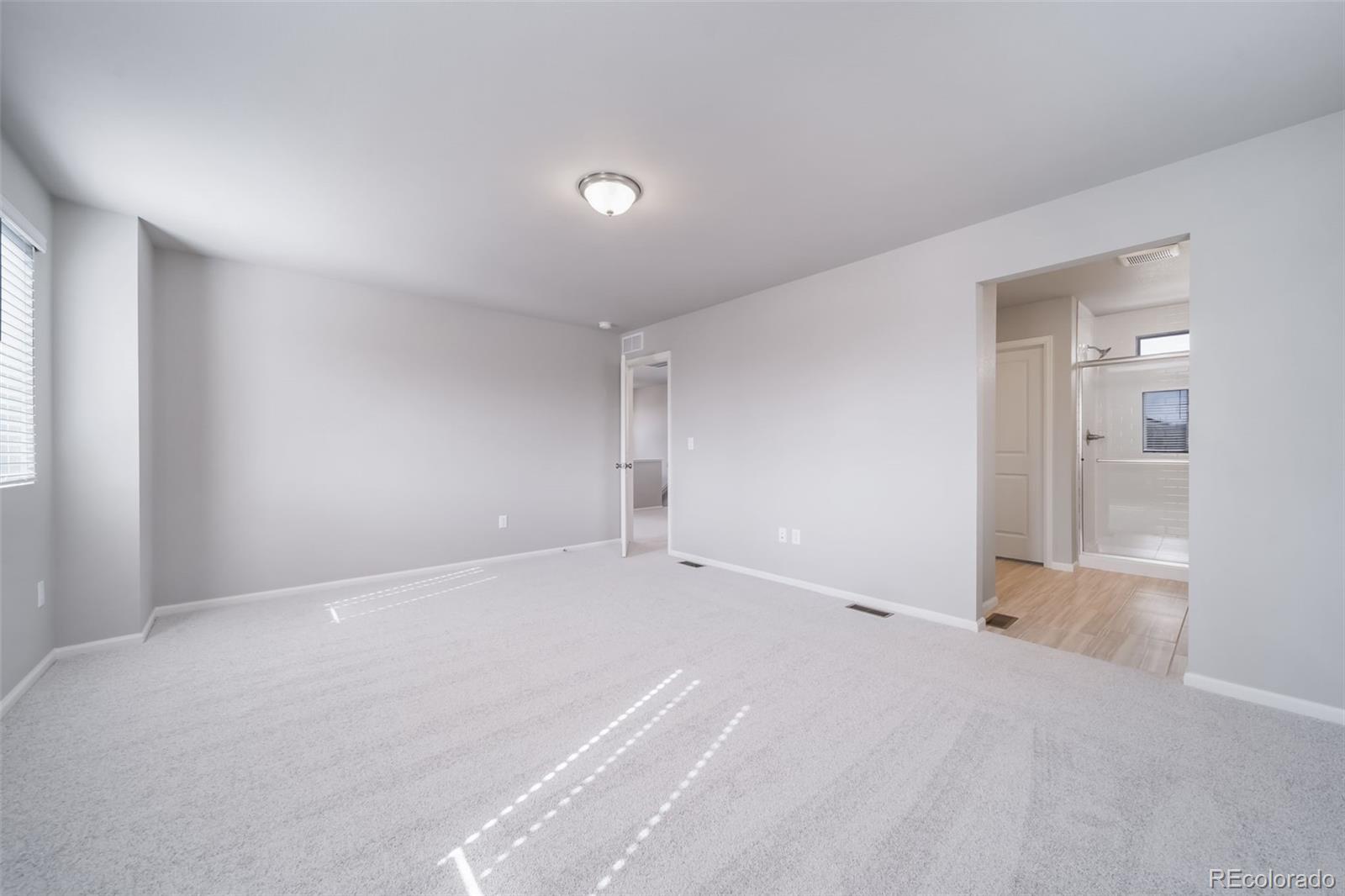 MLS Image #15 for 12595 e 101st drive,commerce city, Colorado