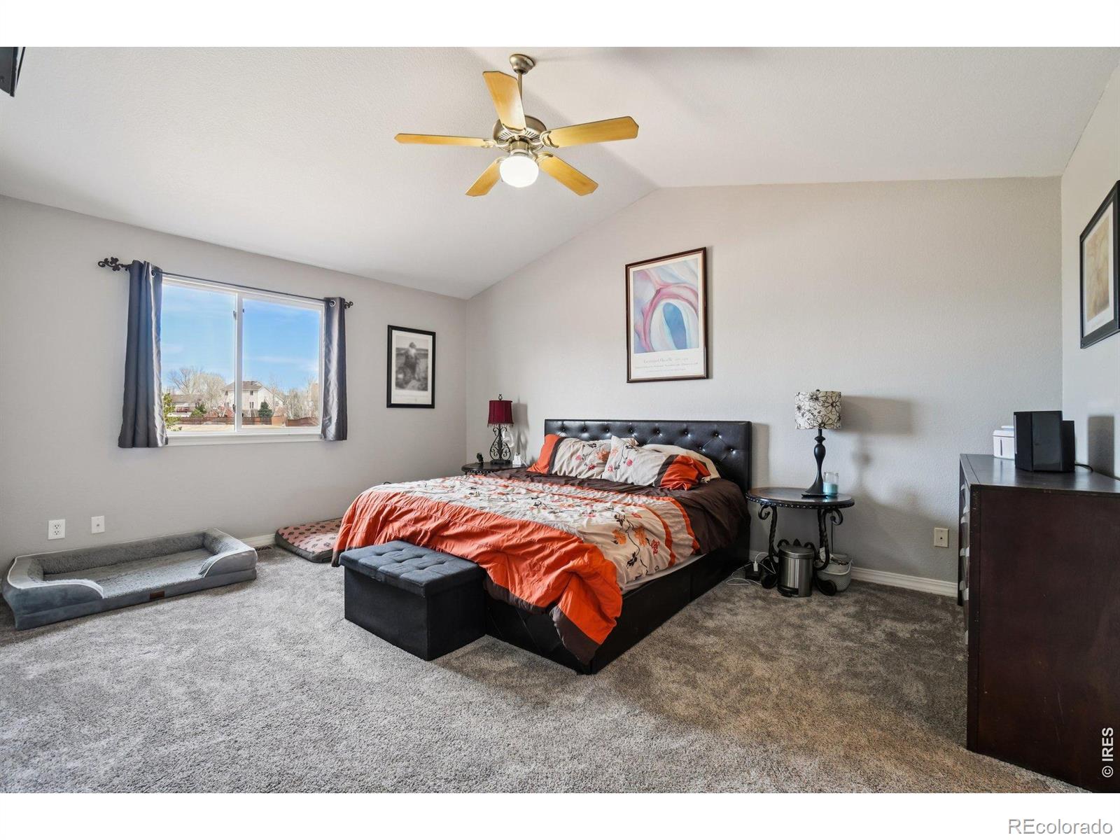 MLS Image #11 for 629  sumac street,frederick, Colorado