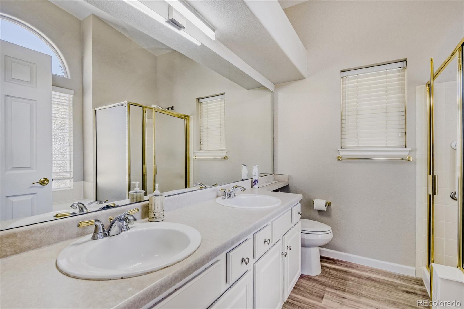 MLS Image #15 for 10369  cheetah tail ,lone tree, Colorado