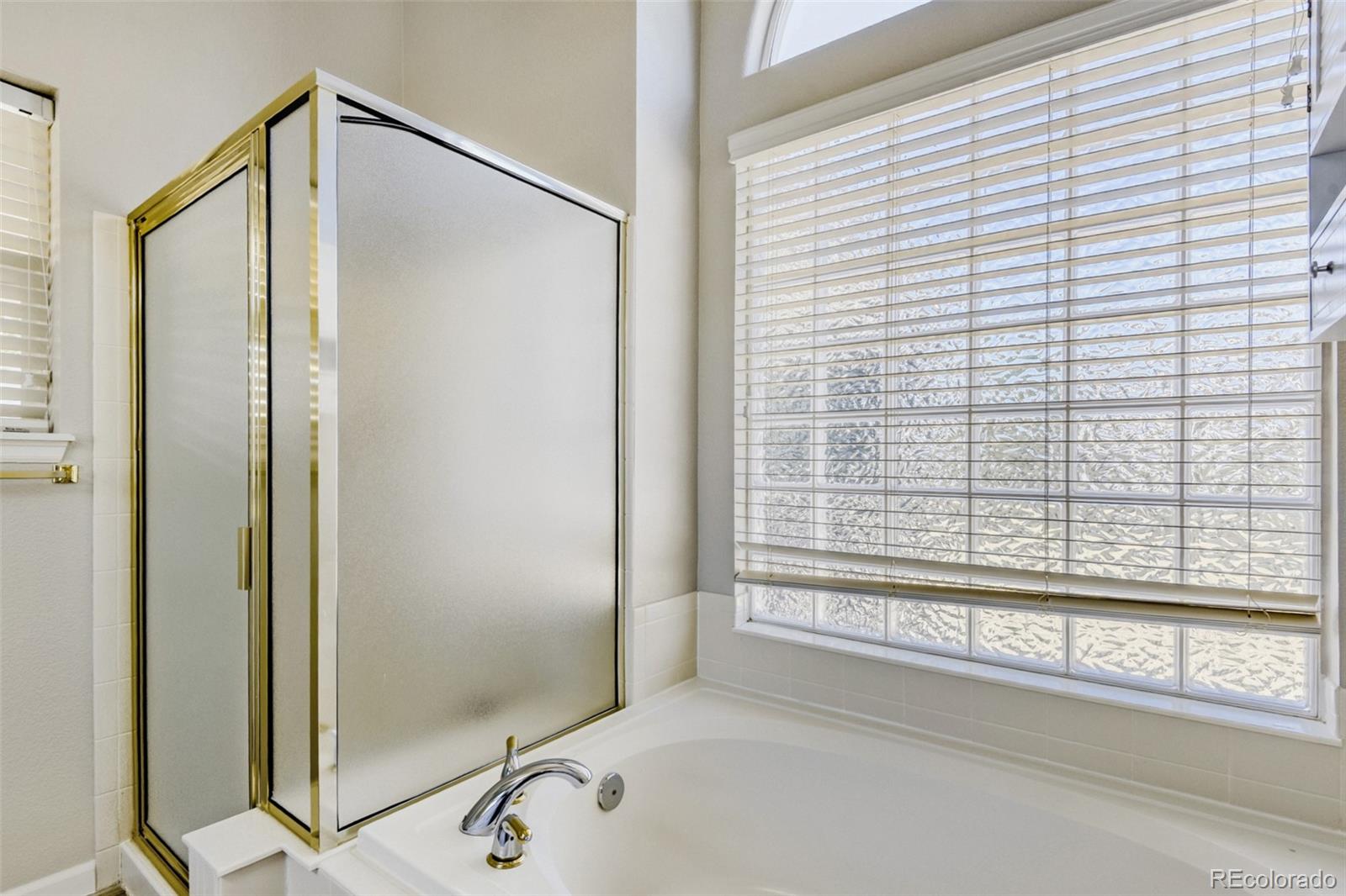 MLS Image #16 for 10369  cheetah tail ,lone tree, Colorado