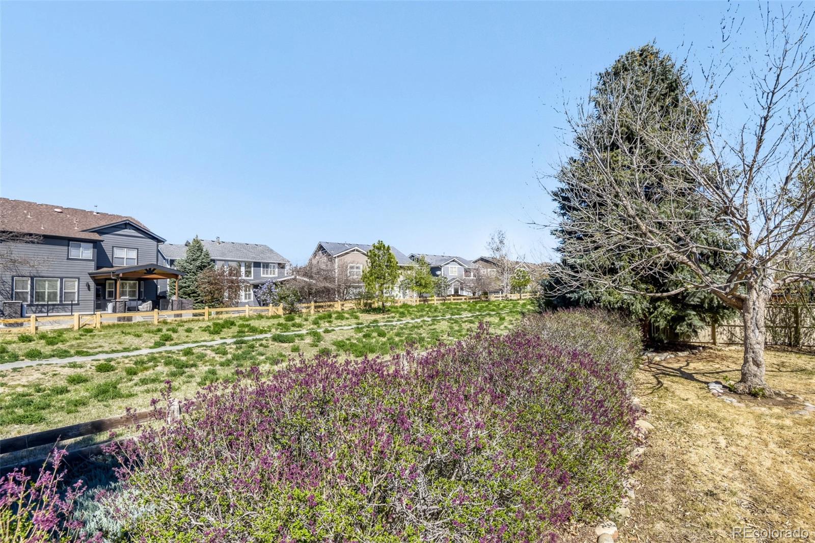 MLS Image #26 for 10369  cheetah tail ,lone tree, Colorado